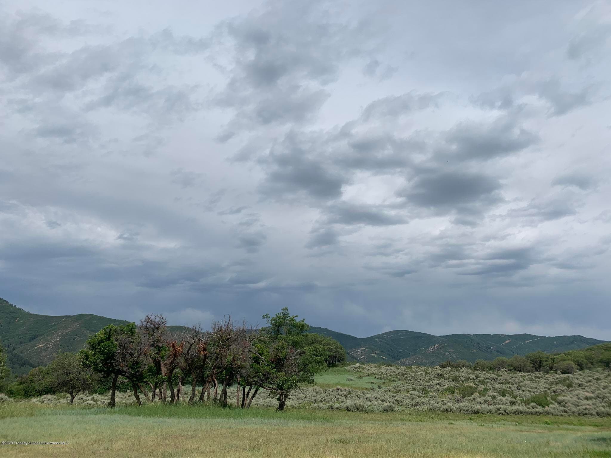 TBD WILD ACRES RANCH Road, Rifle, CO 81650 - Photo 15