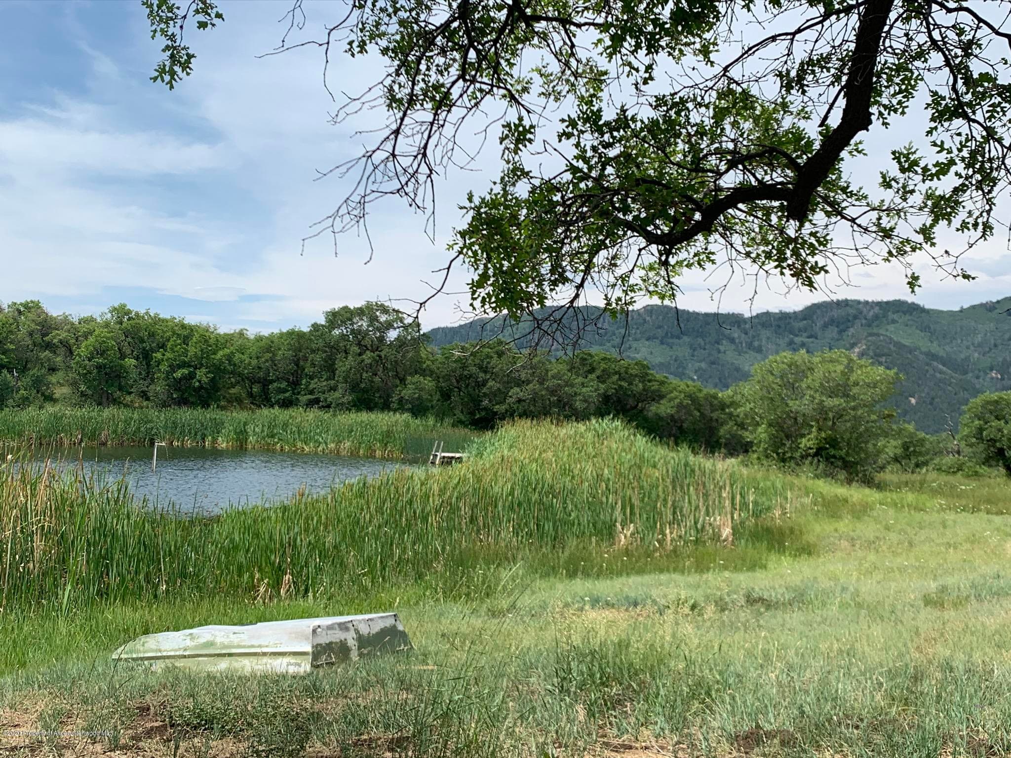 TBD WILD ACRES RANCH Road, Rifle, CO 81650 - Photo 11