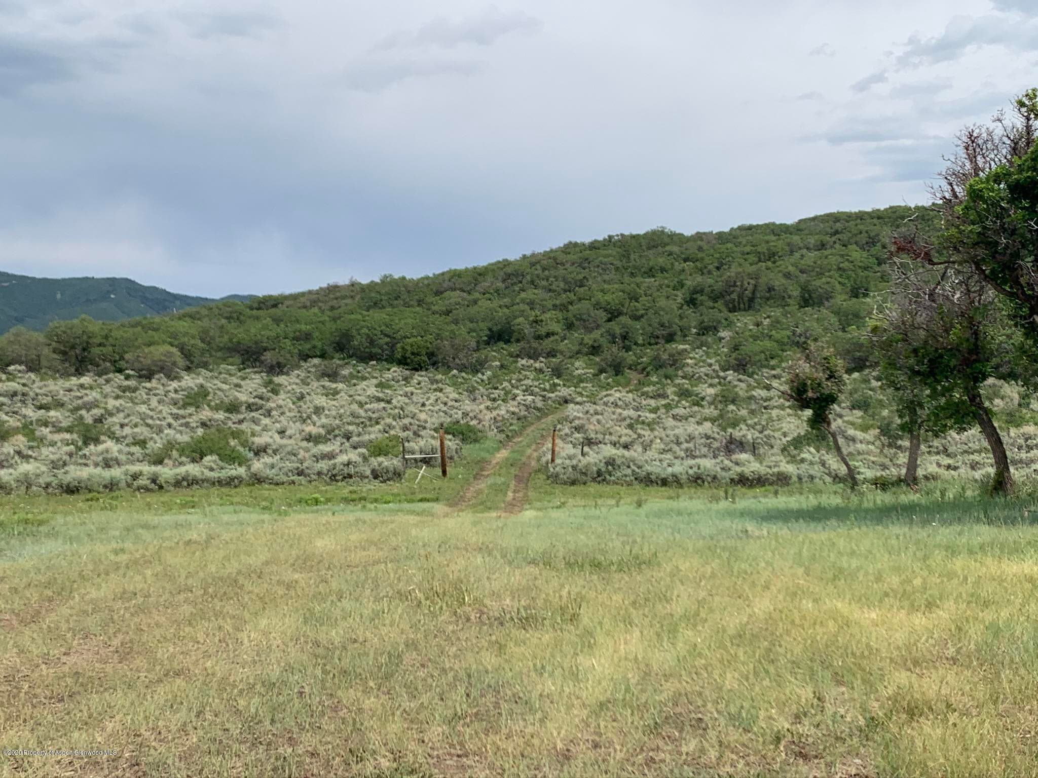 TBD WILD ACRES RANCH Road, Rifle, CO 81650 - Photo 16
