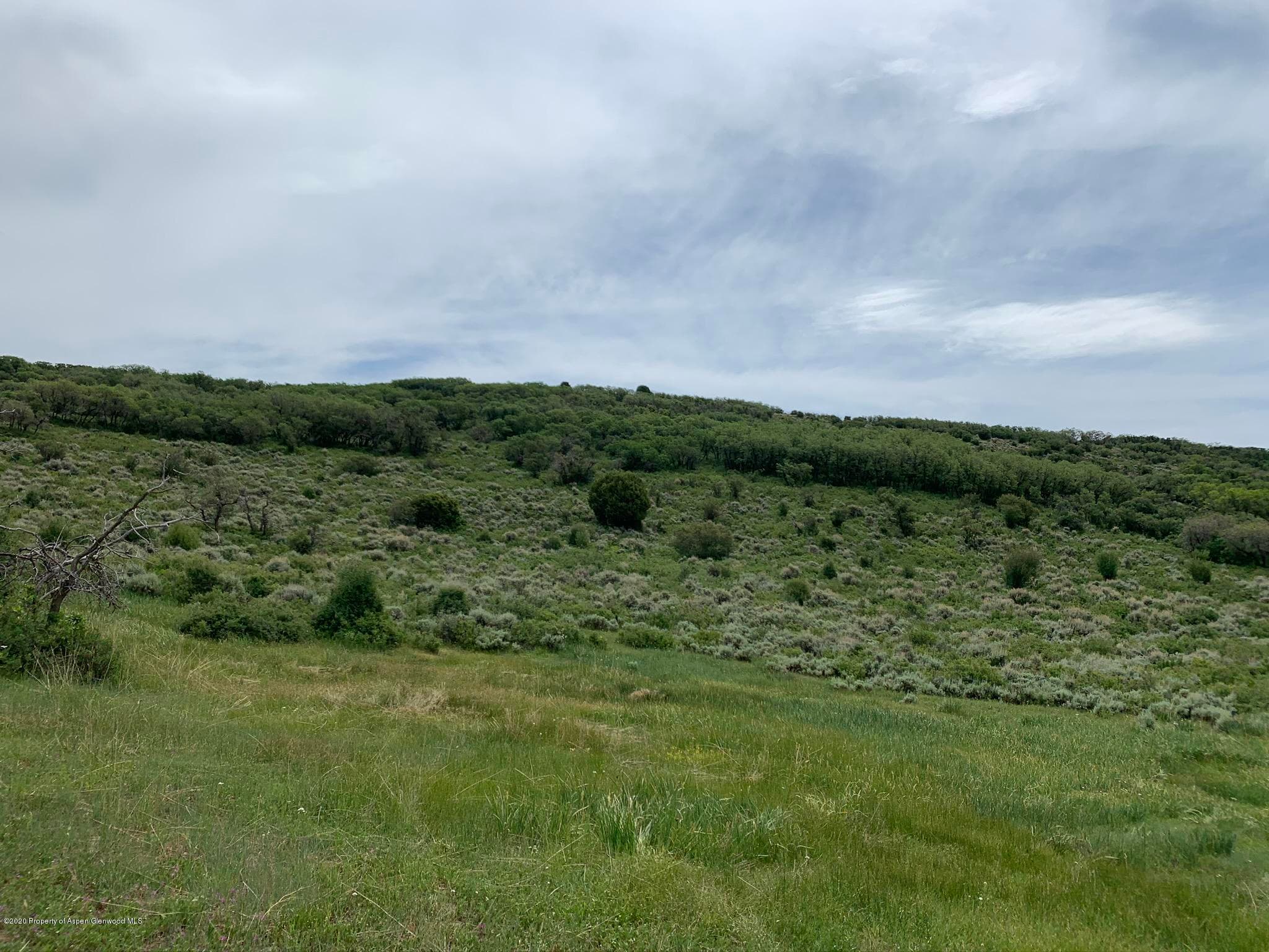 TBD WILD ACRES RANCH Road, Rifle, CO 81650 - Photo 20