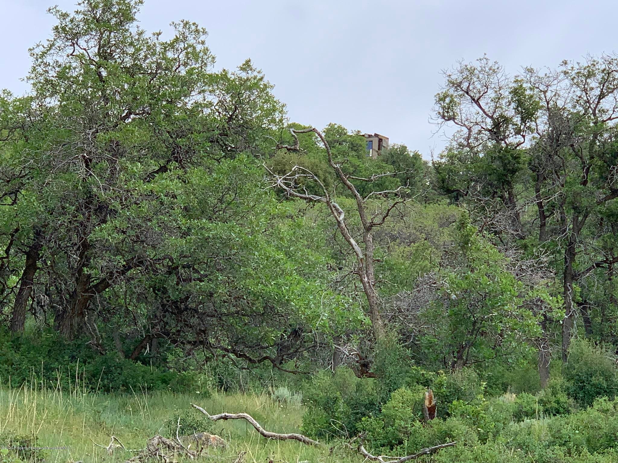 TBD WILD ACRES RANCH Road, Rifle, CO 81650 - Photo 24