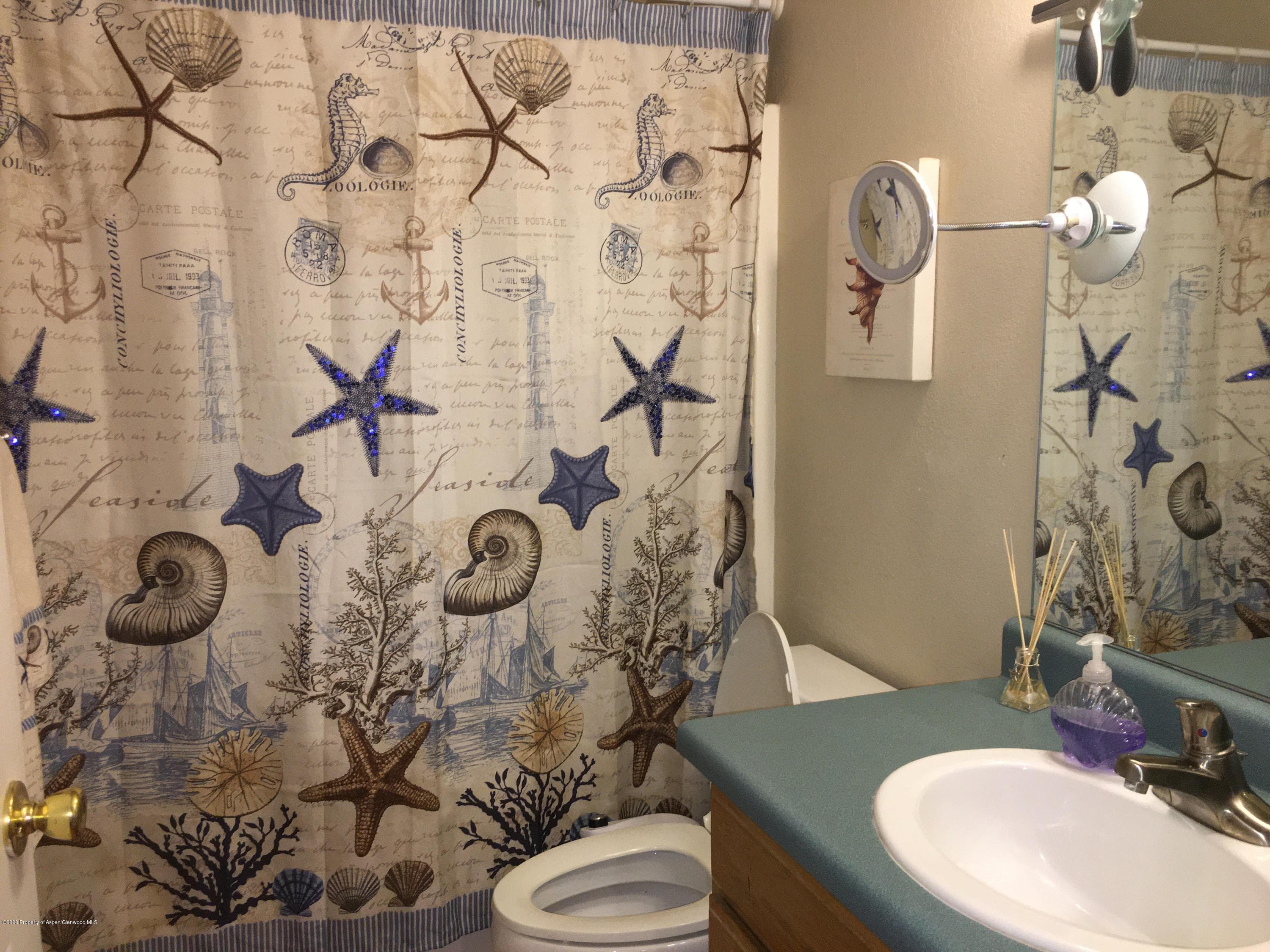 515 Easy Street, Glenwood Springs, CO 81601 - Photo 15