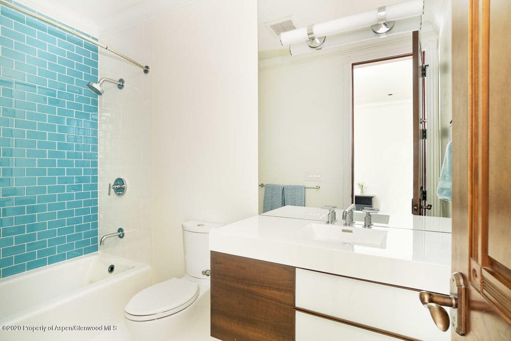 234 W Hallam Street, Aspen, CO 81611 - Photo 24