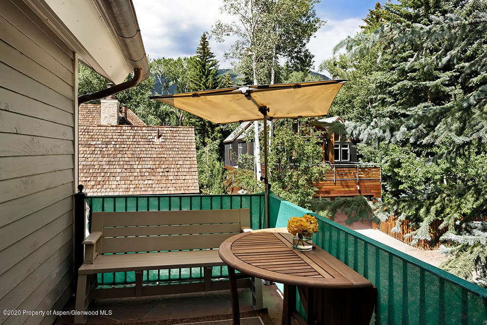 234 W Hallam Street, Aspen, CO 81611 - Photo 31