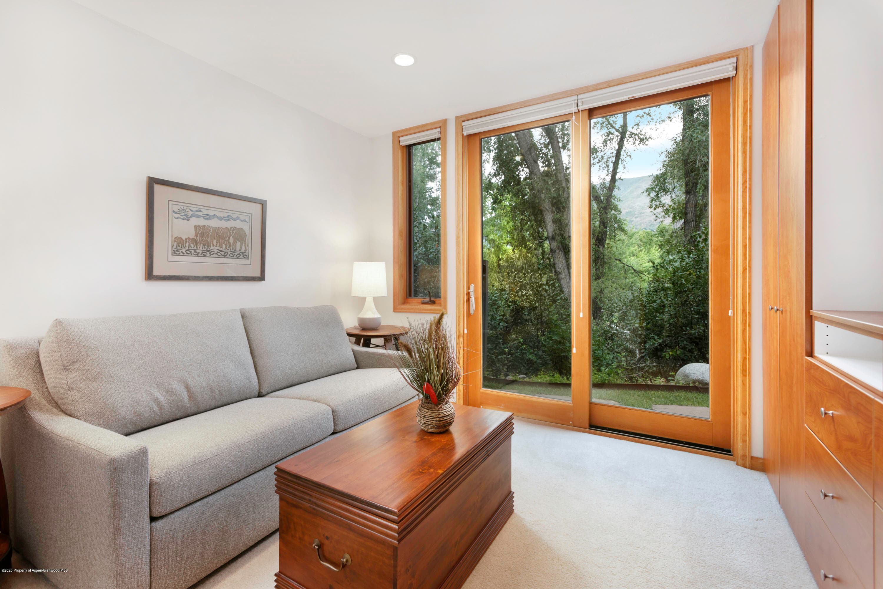 824 E Hopkins Avenue, Aspen, CO 81611 - Photo 9