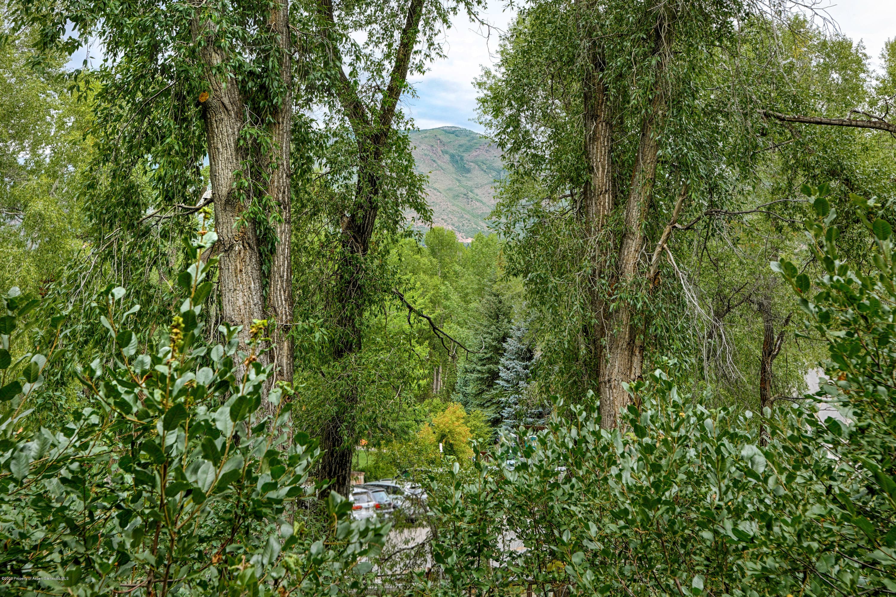 824 E Hopkins Avenue, Aspen, CO 81611 - Photo 15