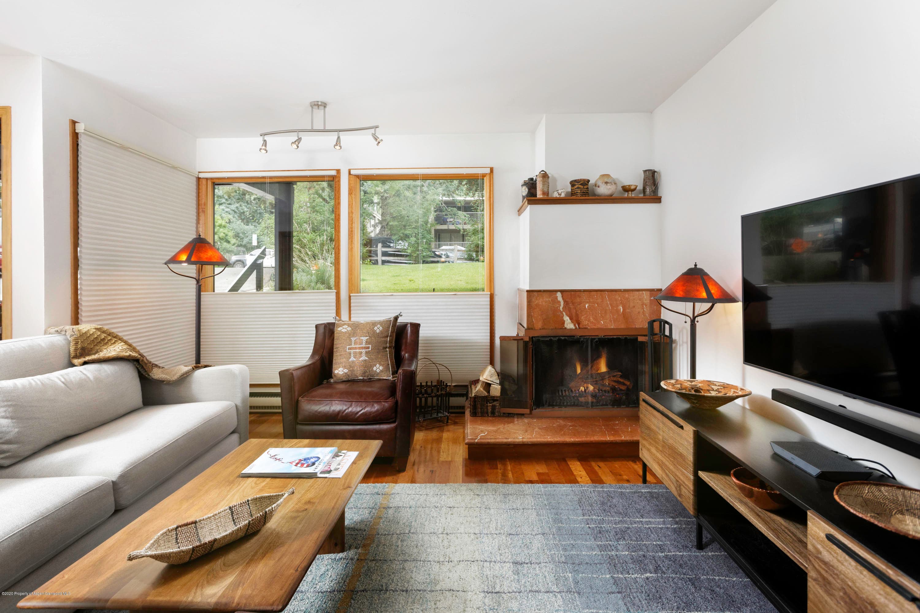 824 E Hopkins Avenue, Aspen, CO 81611 - Photo 8