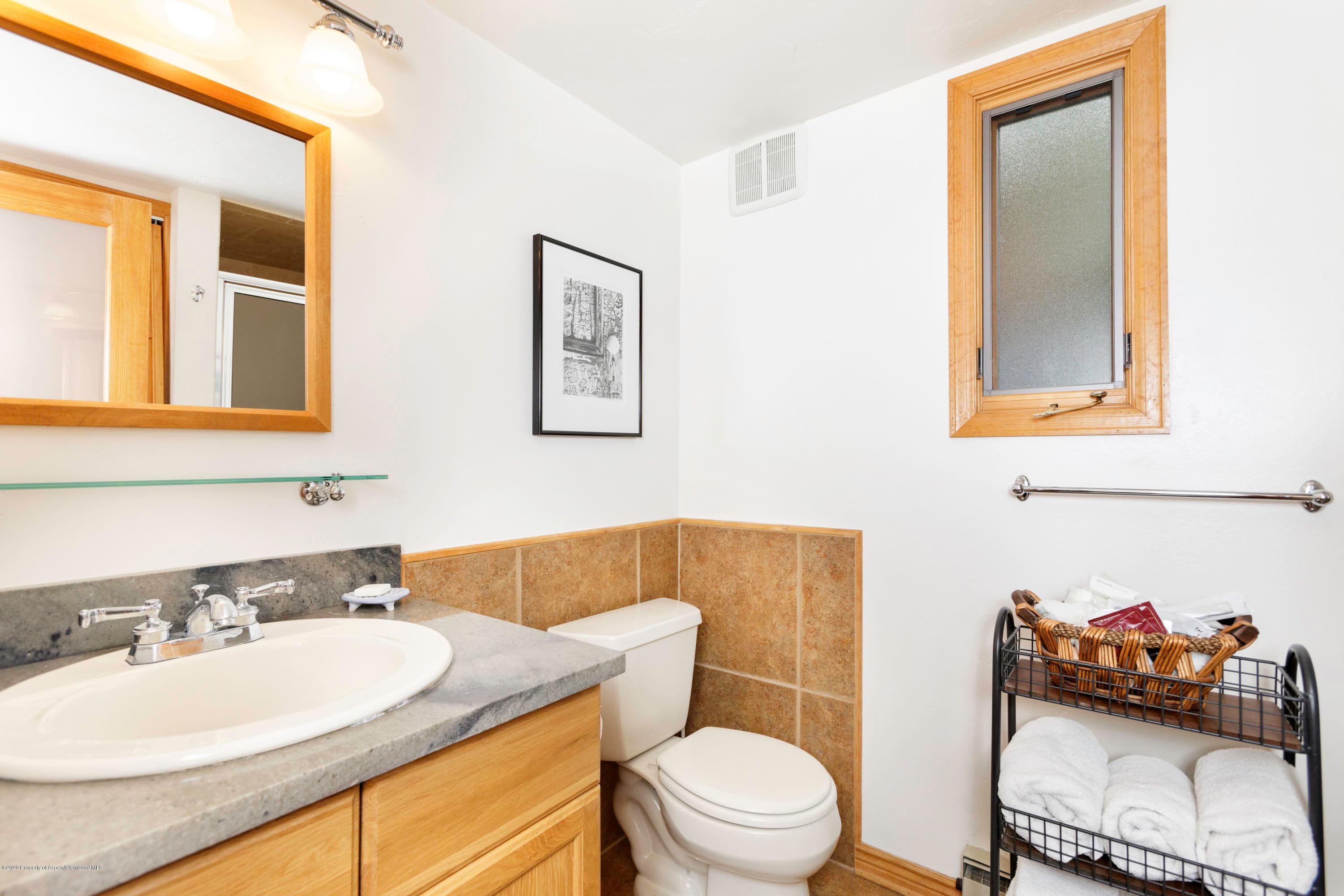 824 E Hopkins Avenue, Aspen, CO 81611 - Photo 10
