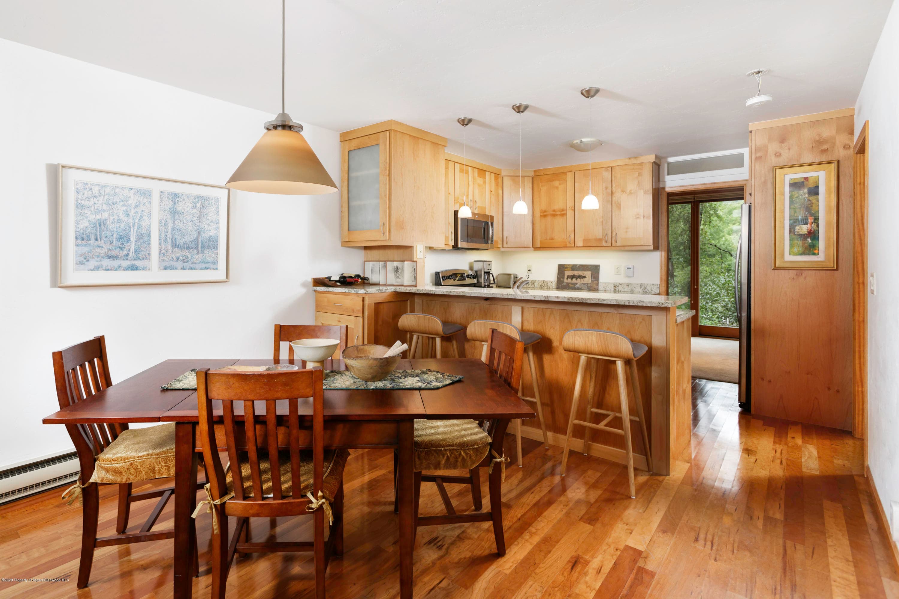 824 E Hopkins Avenue, Aspen, CO 81611 - Photo 4