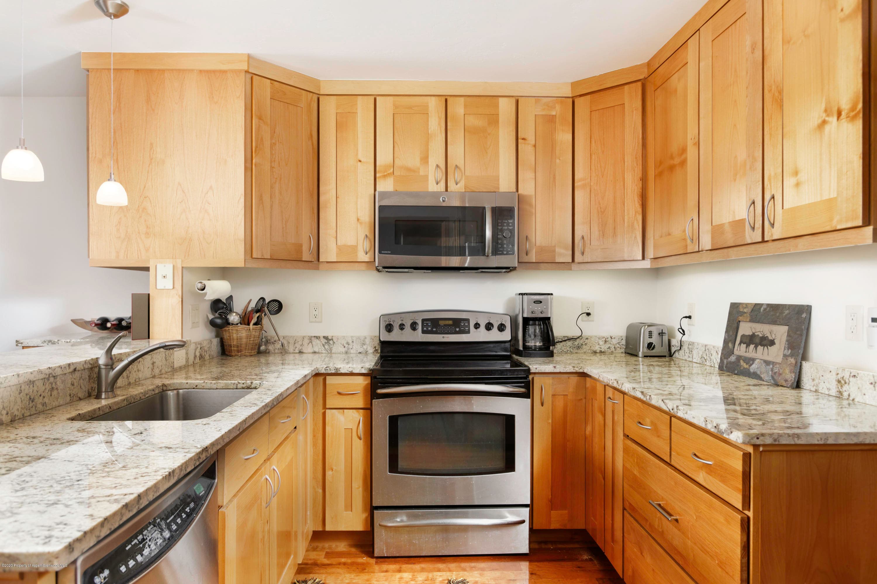 824 E Hopkins Avenue, Aspen, CO 81611 - Photo 7