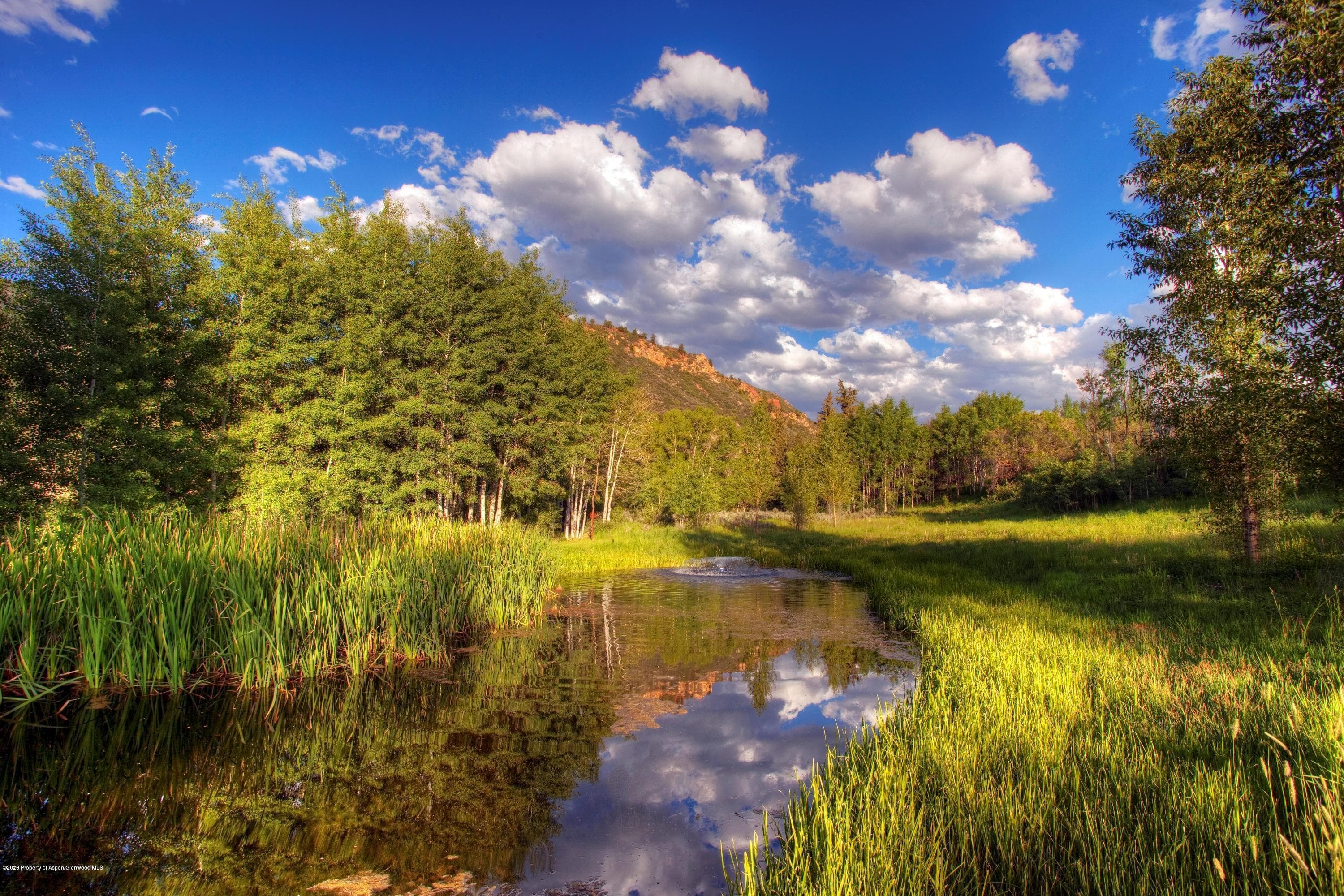 Lot 12 Double Bar X Ranch, Aspen, CO 81611 - Photo 8