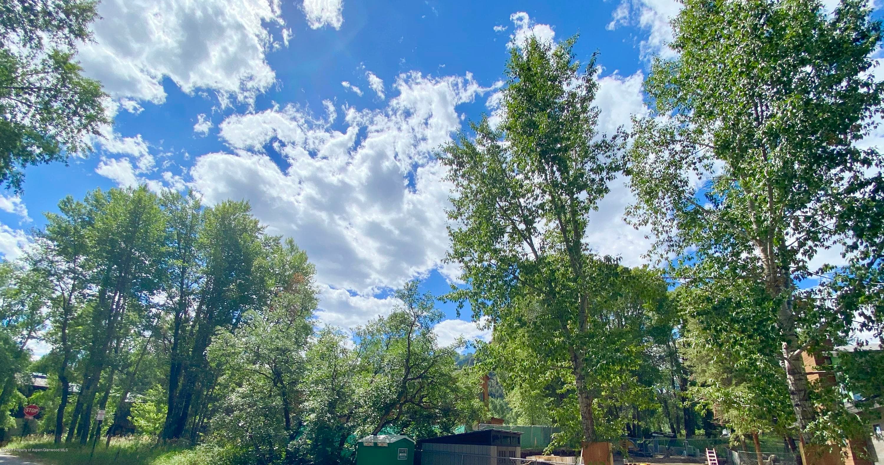 810 W Smuggler Street, Aspen, CO 81611 - Photo 6
