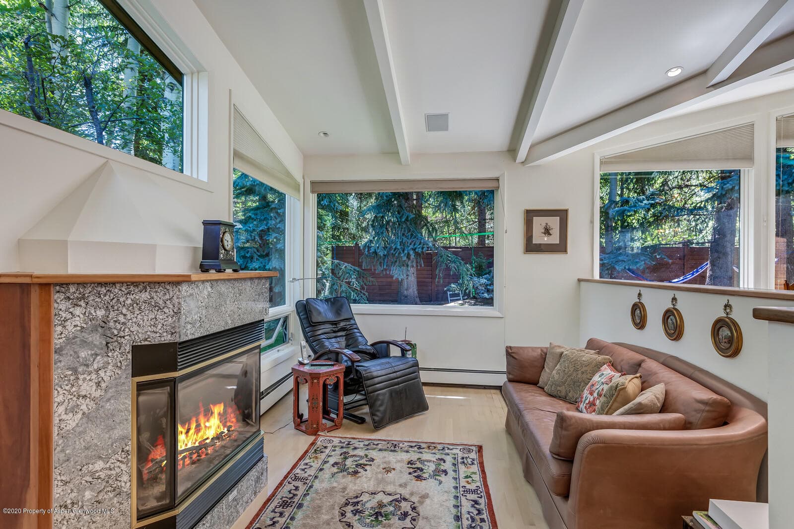 911 Waters Avenue, Aspen, CO 81611 - Photo 7