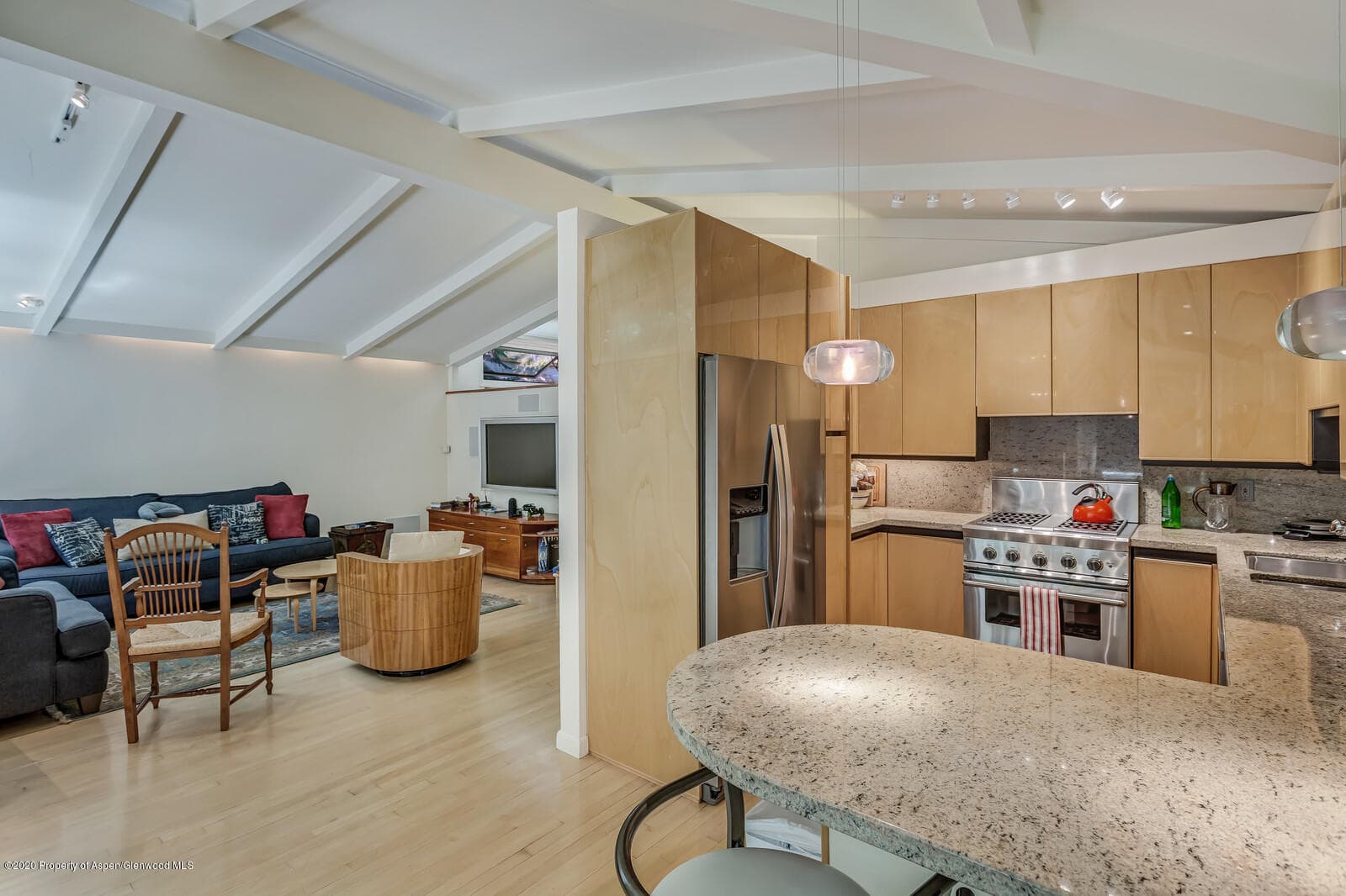 911 Waters Avenue, Aspen, CO 81611 - Photo 4