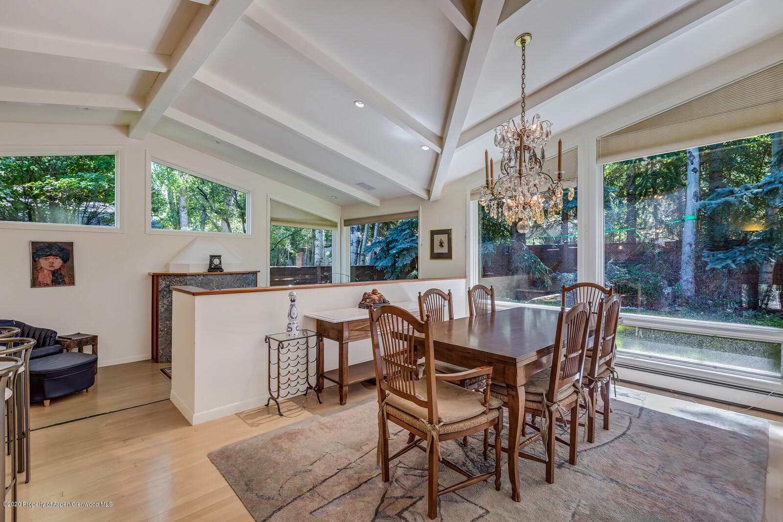 911 Waters Avenue, Aspen, CO 81611 - Photo 6