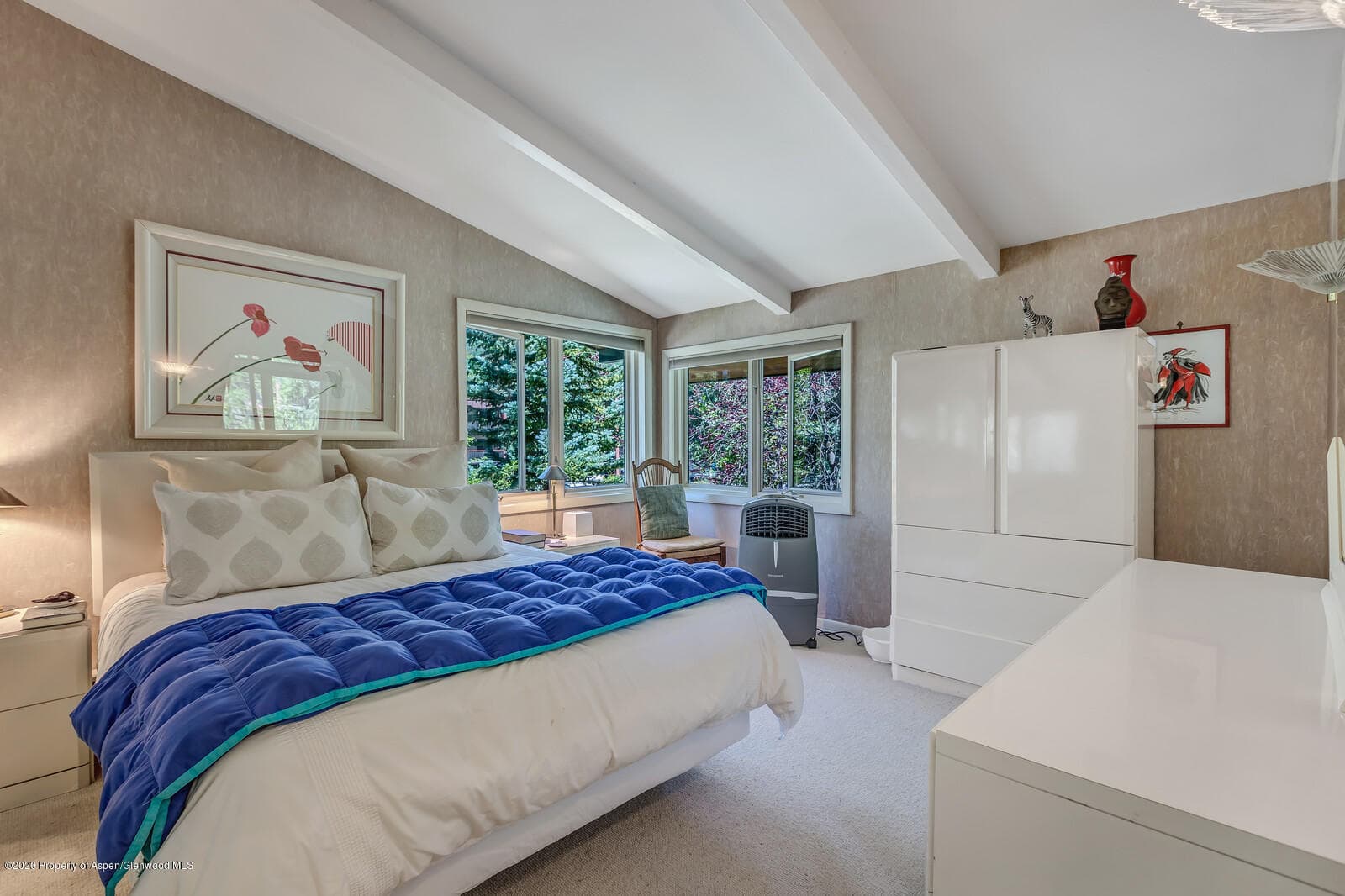 911 Waters Avenue, Aspen, CO 81611 - Photo 11