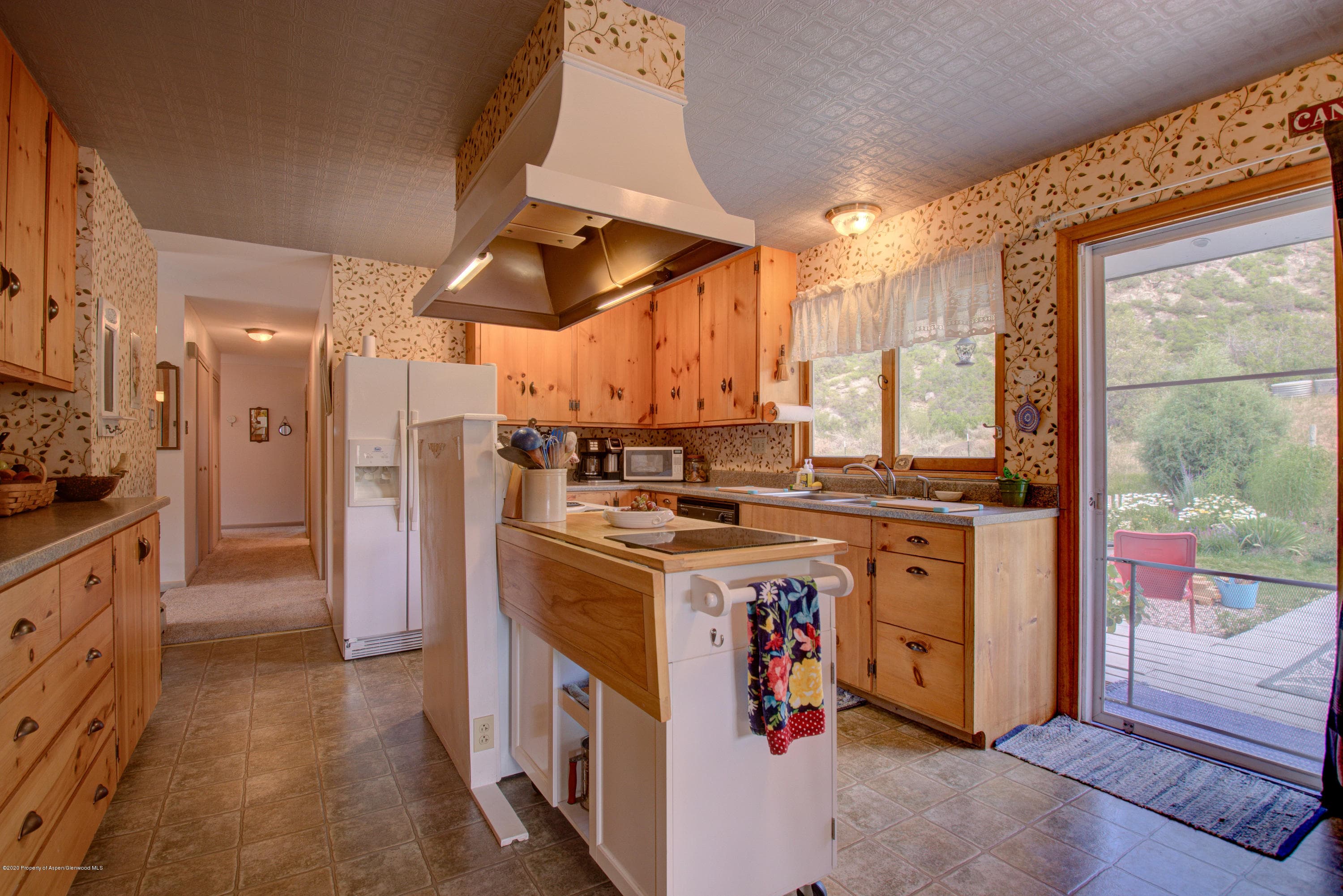 7434 County Road 117 (AKA: 4 Mile ), Glenwood Springs, CO 81601 - Photo 10