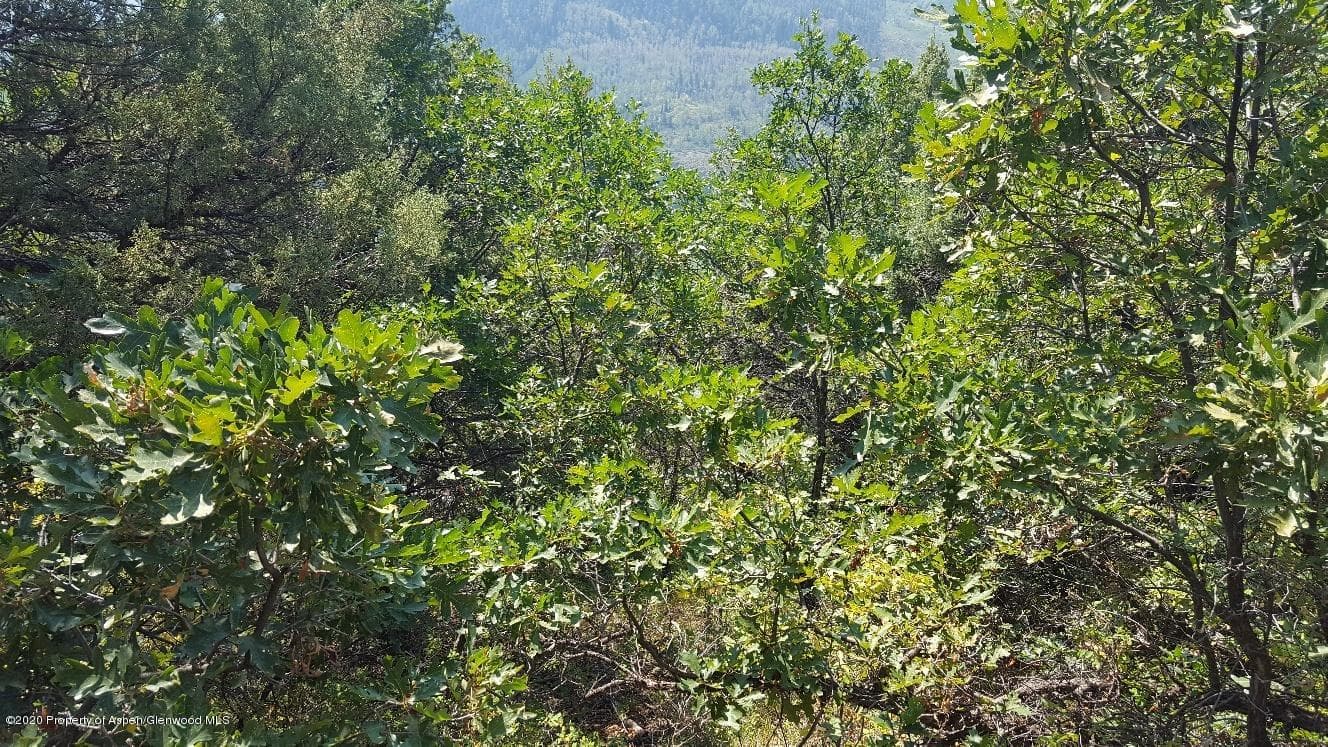 TBD Marble Village Drive, Marble, CO 81623 - Photo 22