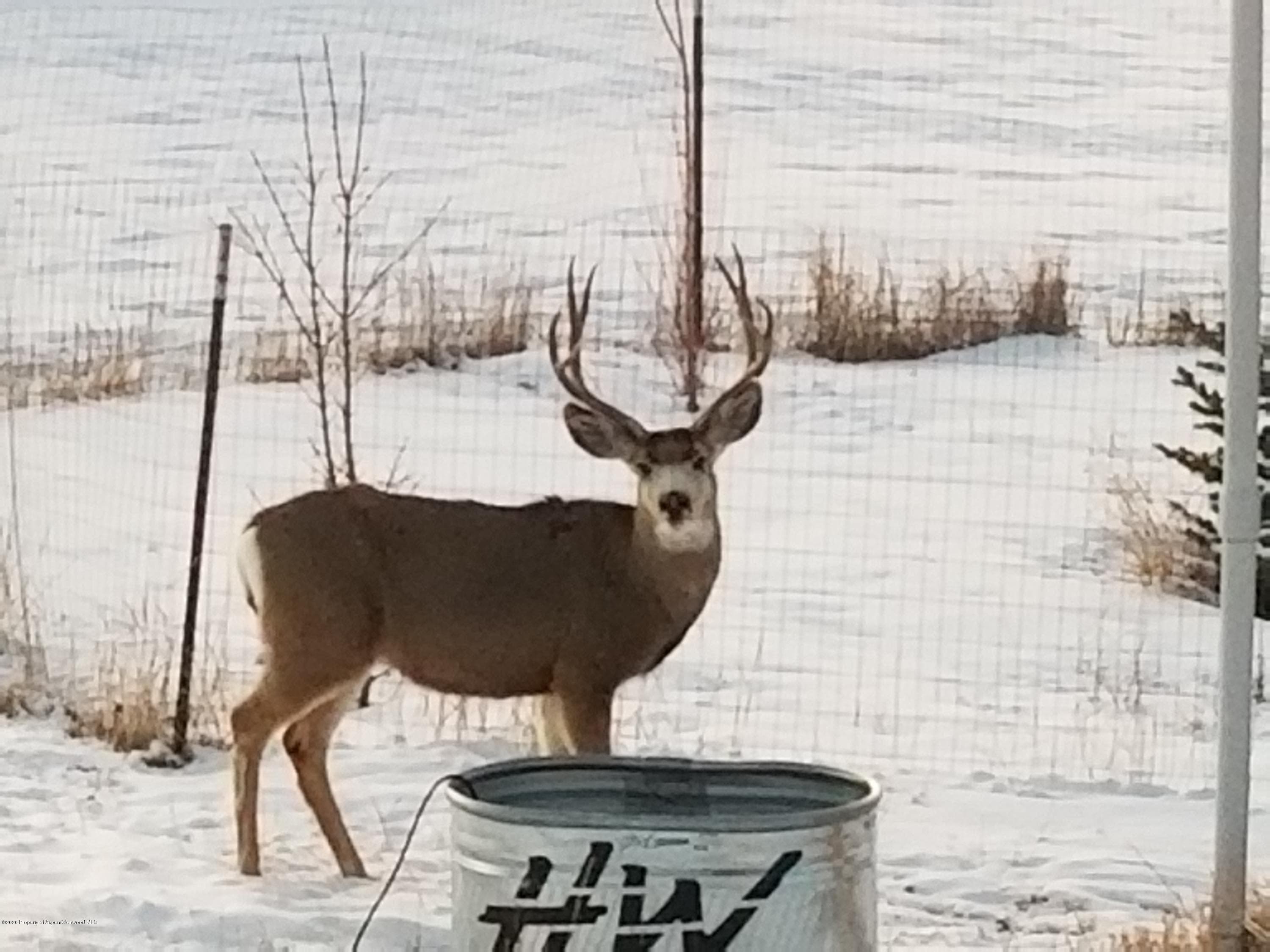 1600 County Road 30, Craig, CO 81625 - Photo 32