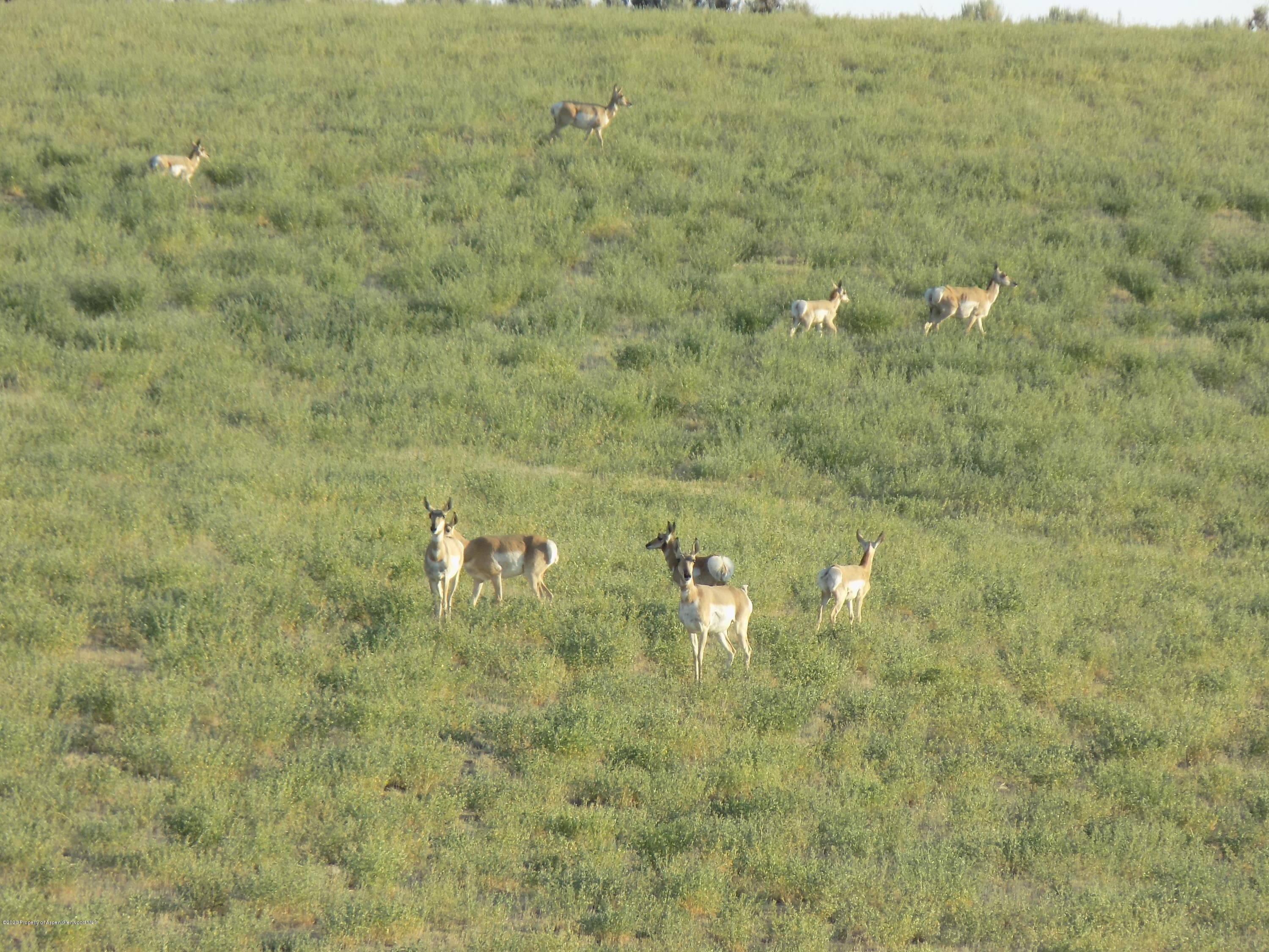 1600 County Road 30, Craig, CO 81625 - Photo 49