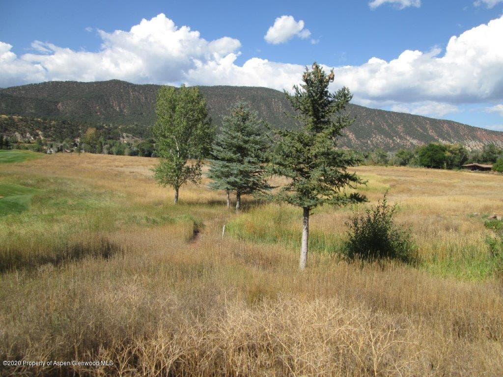 Tbd Leonis Lane, Carbondale, CO 81623 - Photo 8