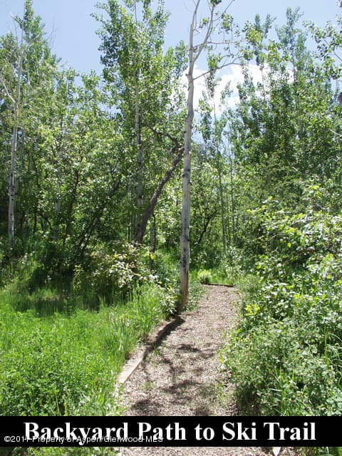 305 Larkspur Lane, Aspen, CO 81611 - Photo 16