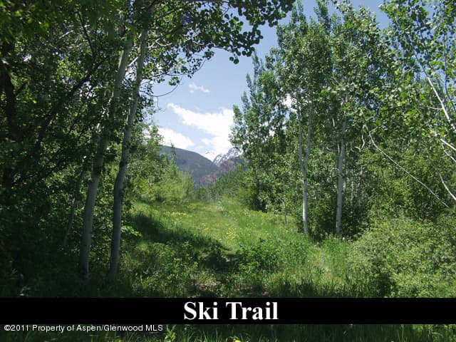 305 Larkspur Lane, Aspen, CO 81611 - Photo 17