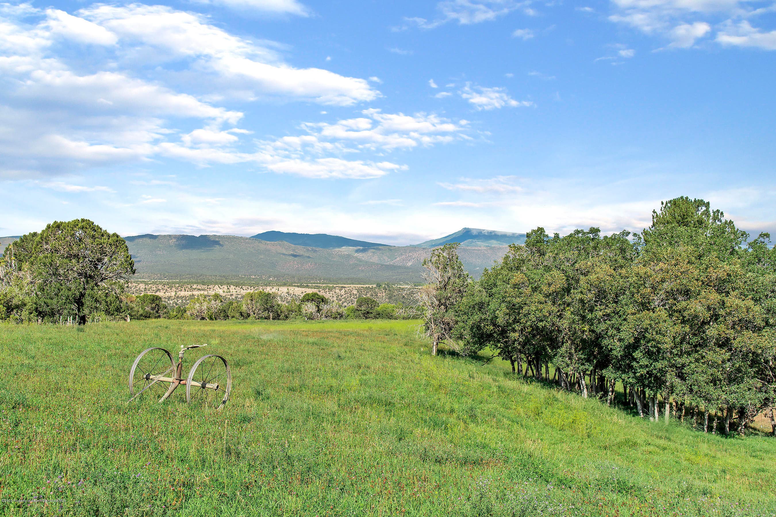 1634 Prince Creek Road, Carbondale, CO 81623 - Photo 29