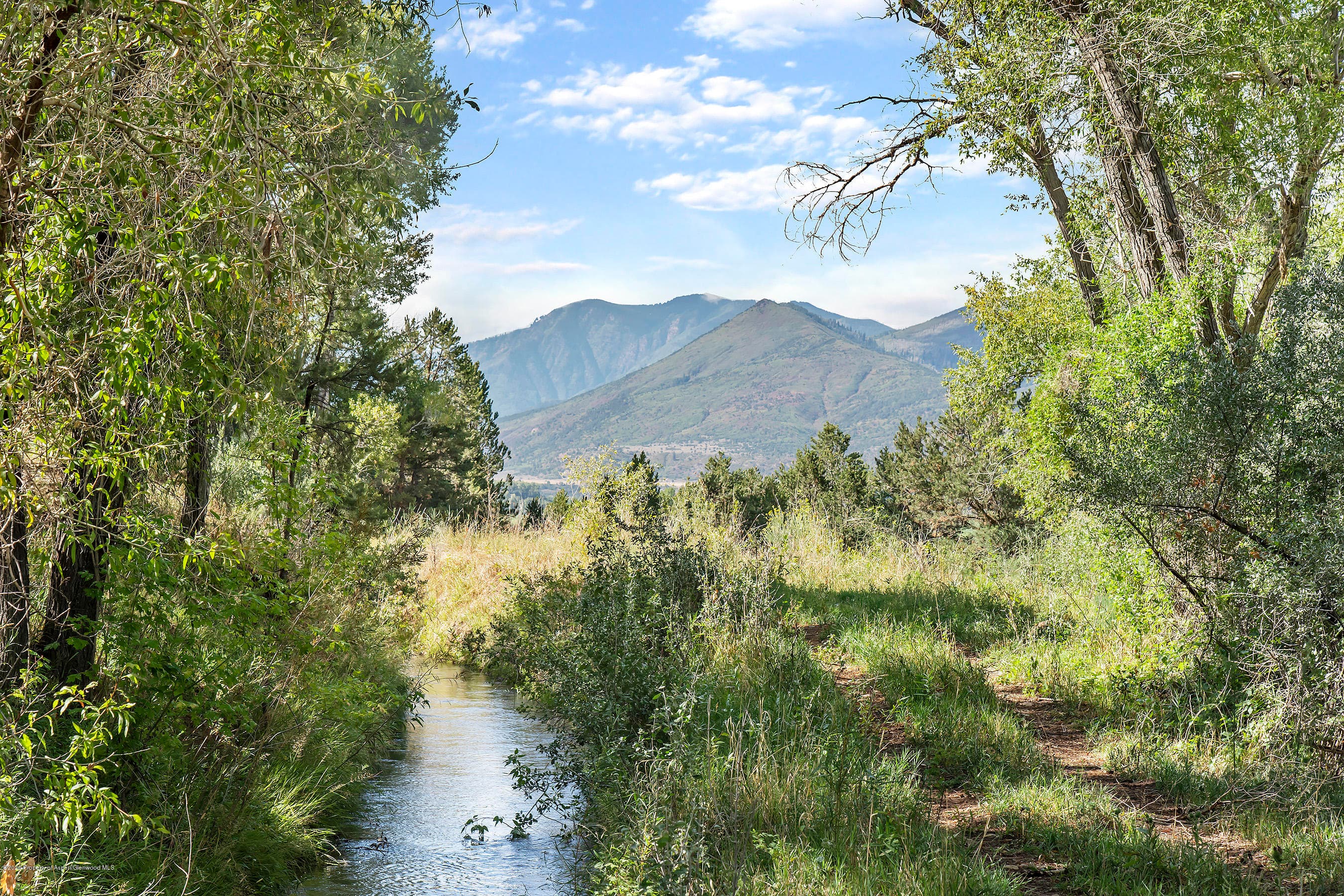 1634 Prince Creek Road, Carbondale, CO 81623 - Photo 36