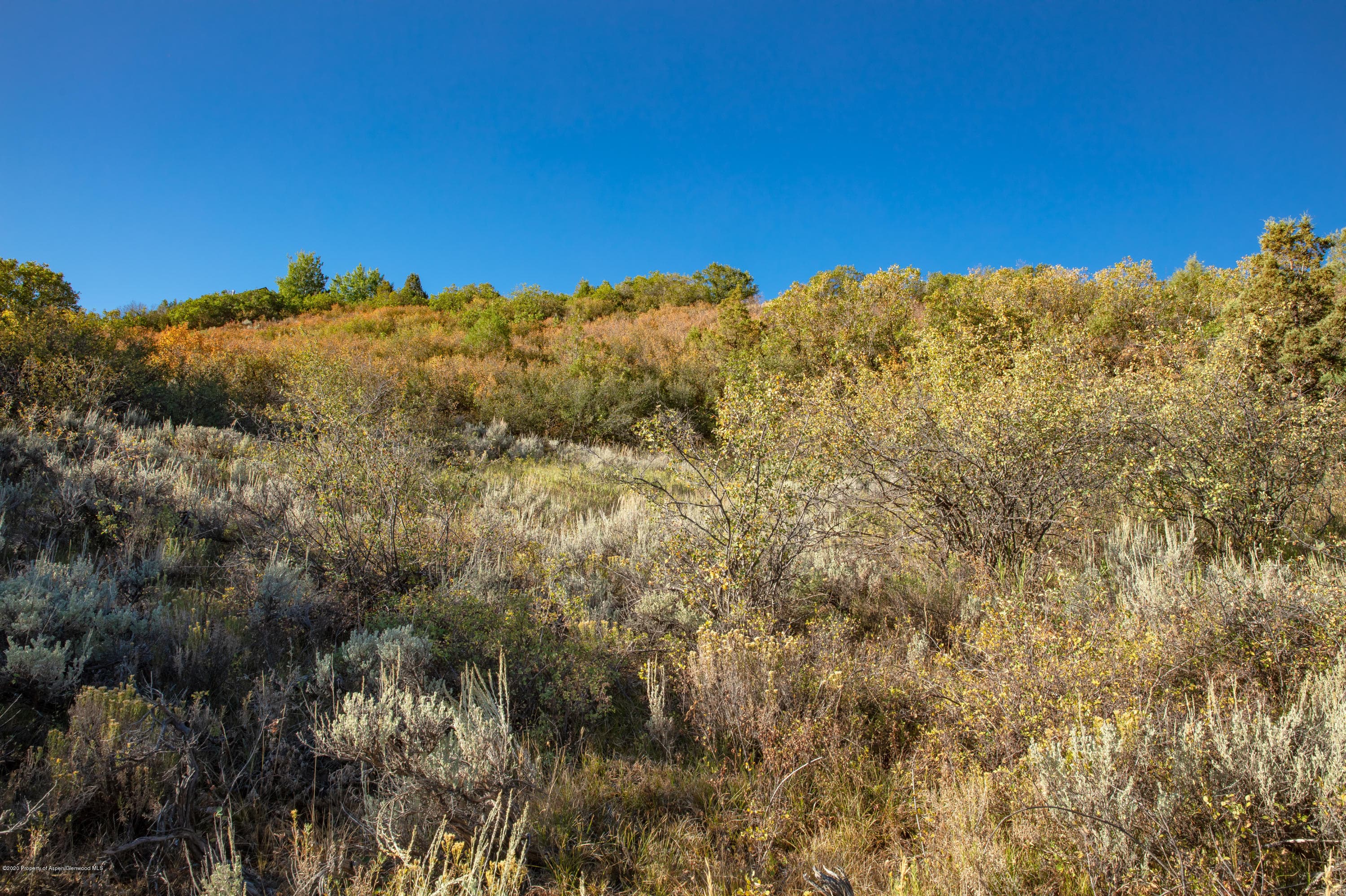 TBD Juniper Hill Drive, Aspen, CO 81611 - Photo 5
