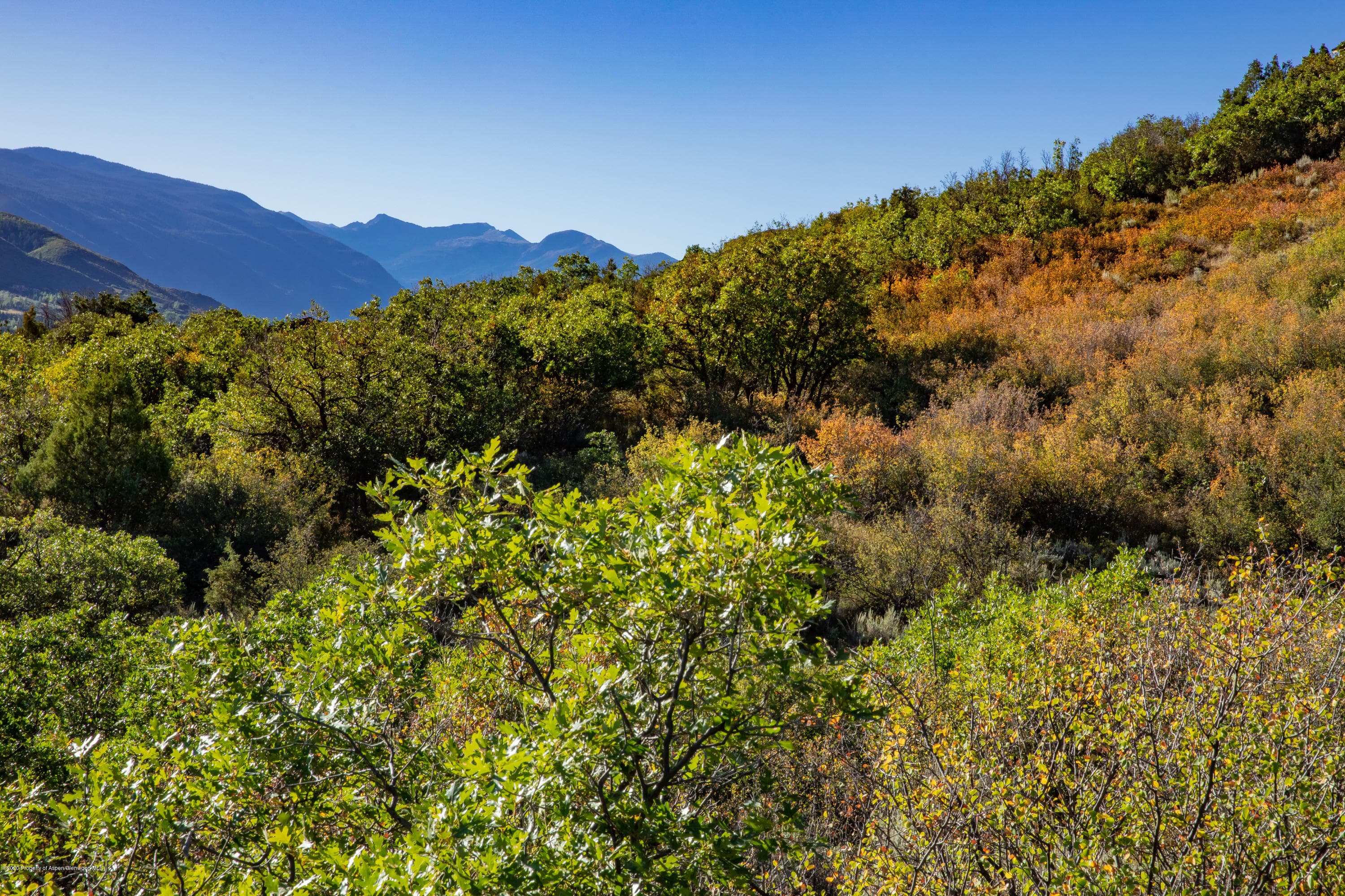 TBD Juniper Hill Drive, Aspen, CO 81611 - Photo 11
