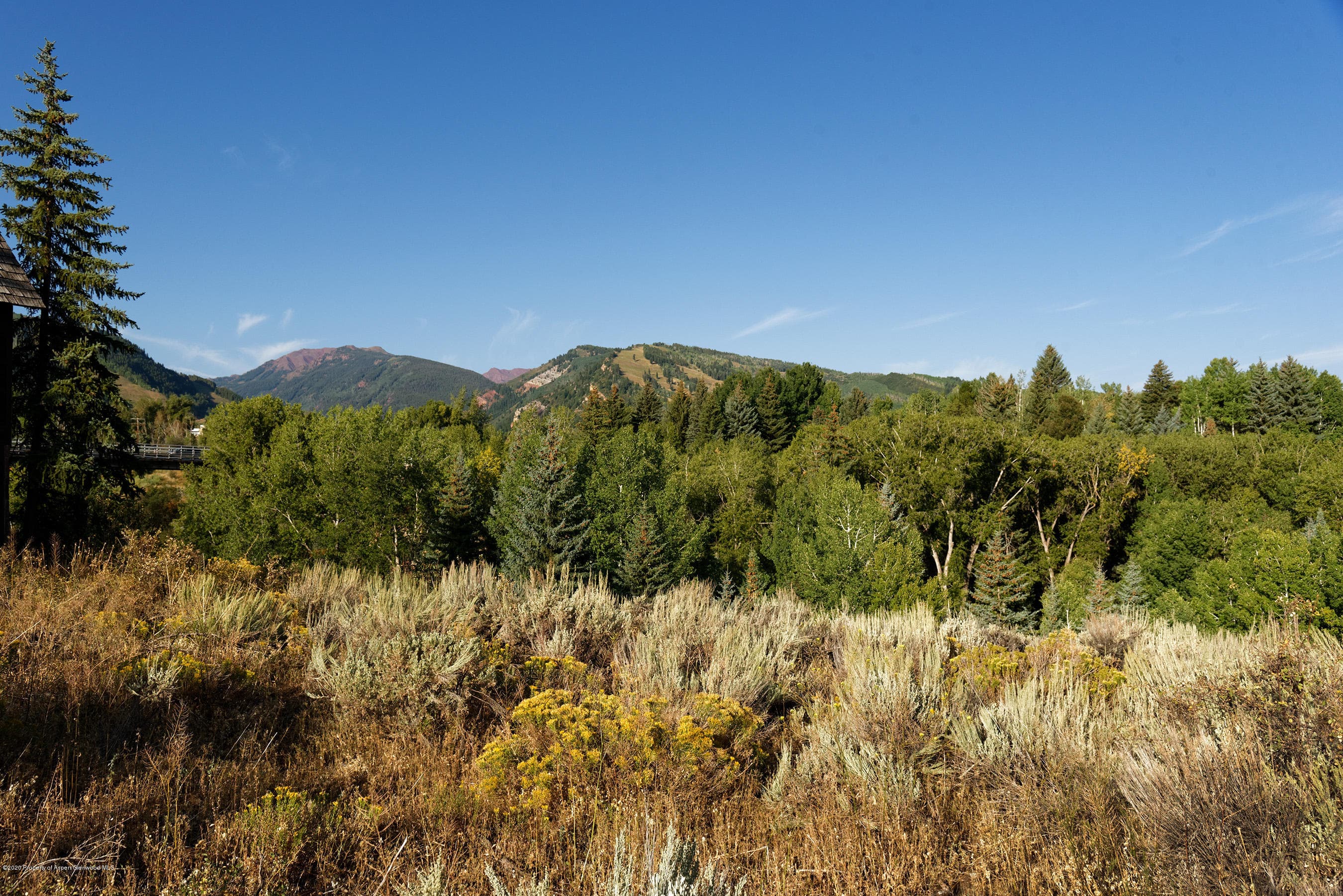 TBD W Smuggler Street, Aspen, CO 81611 - Photo 17