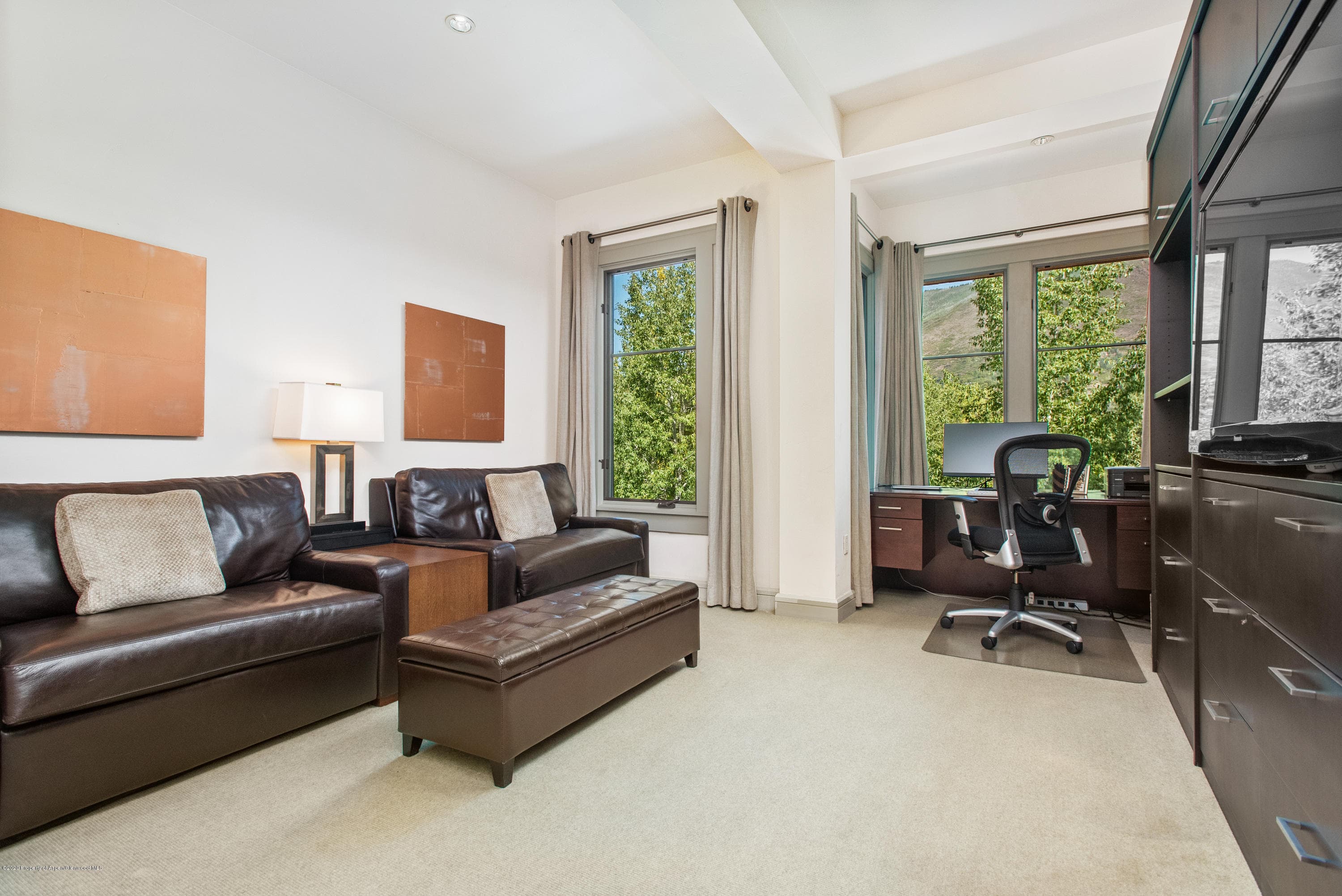 501 Rio Grande Place 205, Aspen, CO 81611 - Photo 11