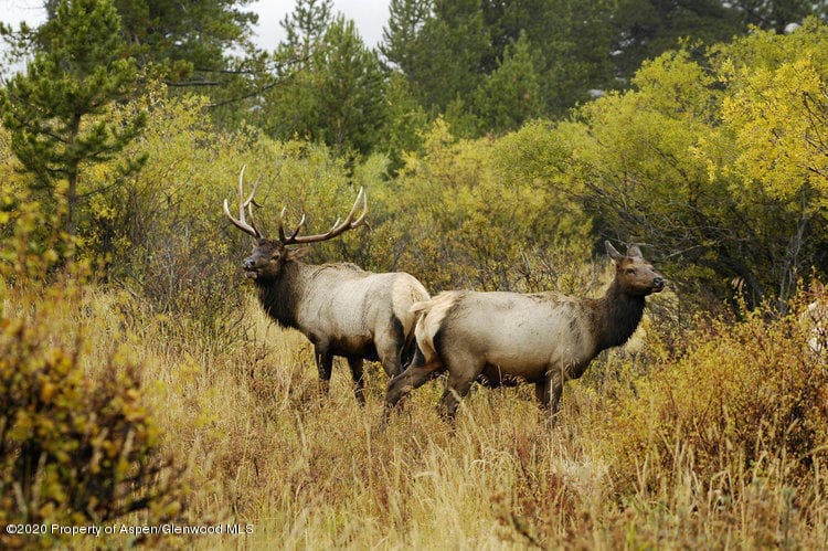 TBD County Road 312, New Castle, CO 81647