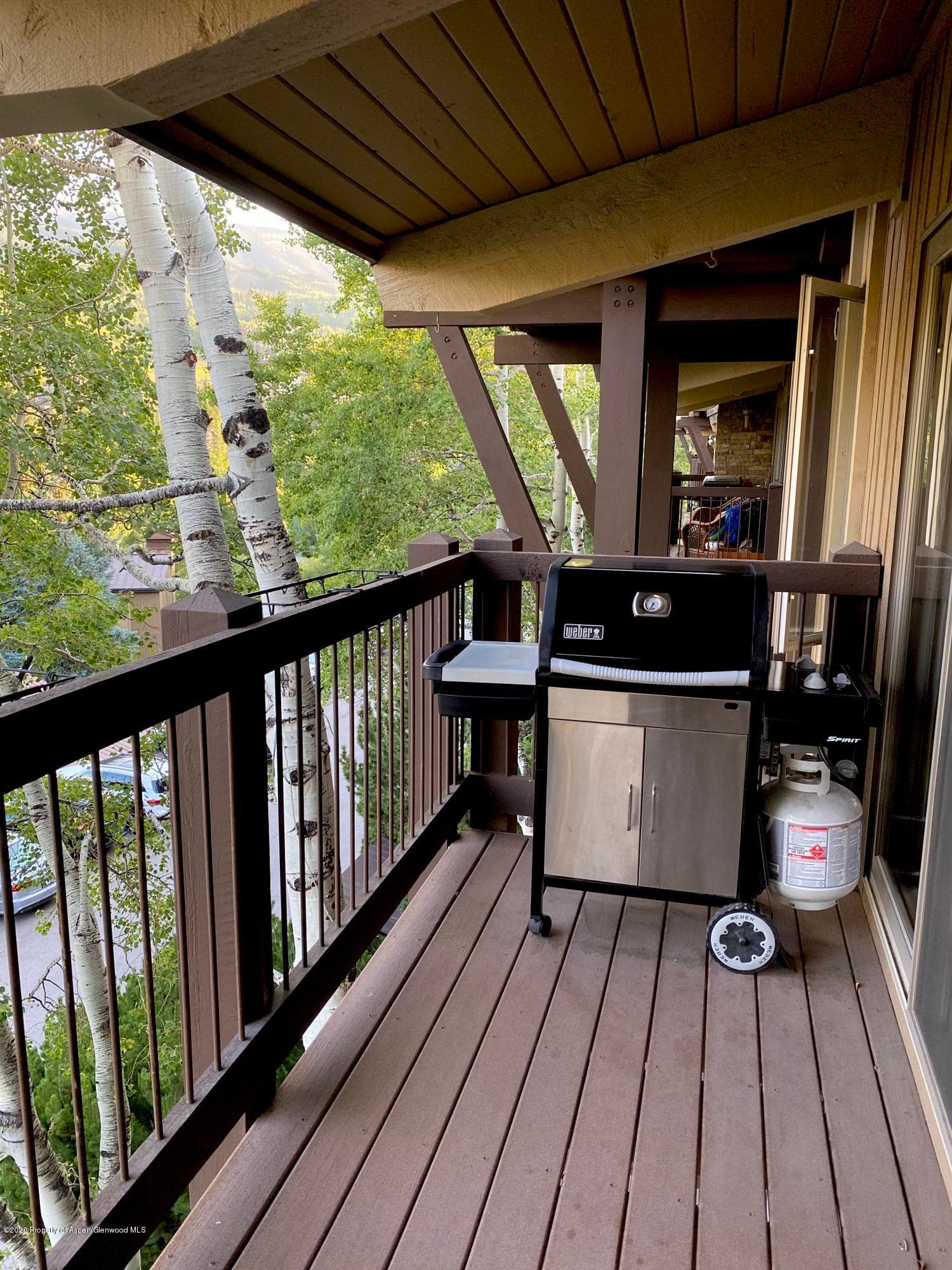35 Upper Woodbridge Road Unit 24-EF, Snowmass Village, CO 81615 - Photo 13