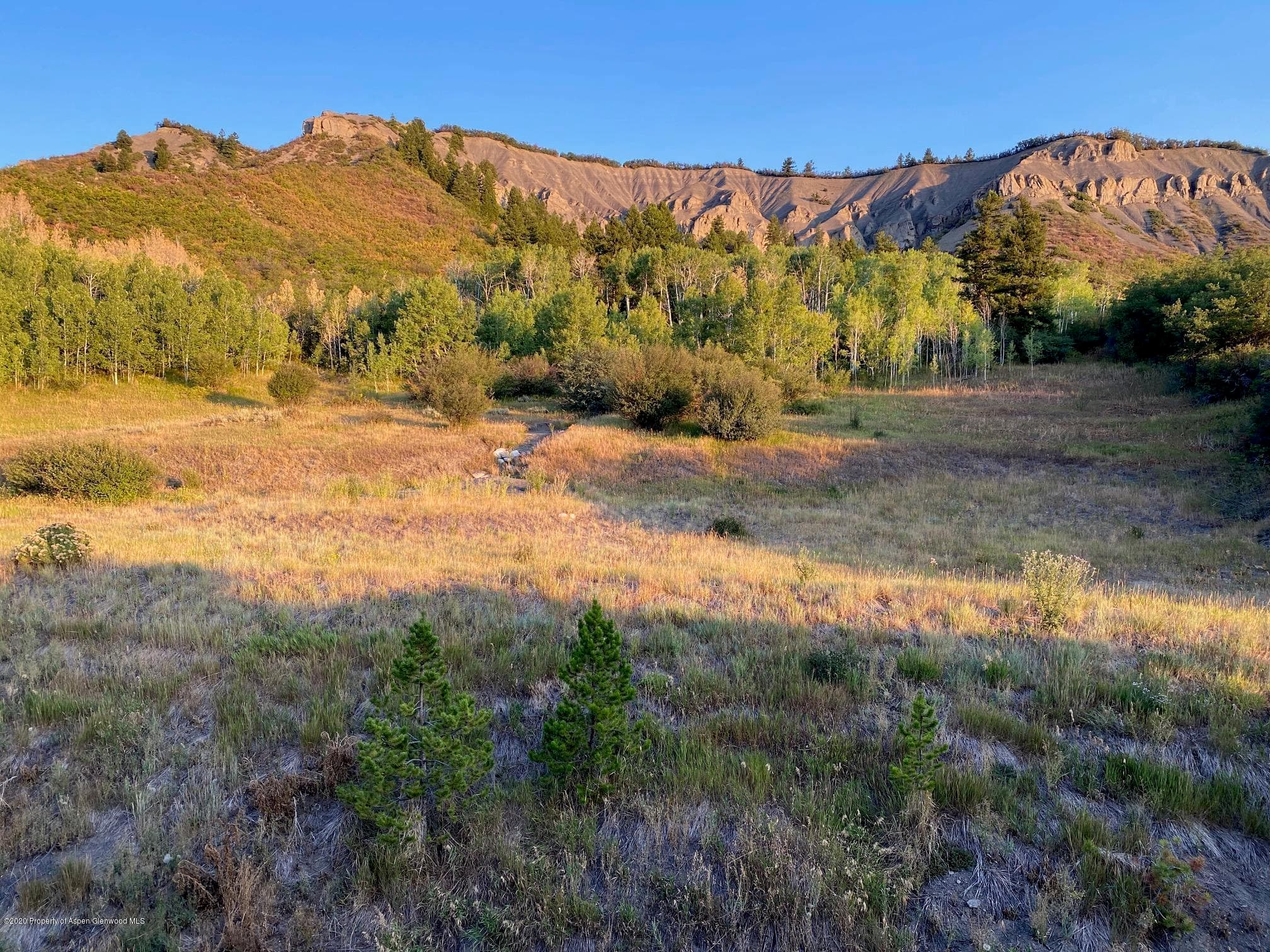 35 Upper Woodbridge Road Unit 24-EF, Snowmass Village, CO 81615 - Photo 15