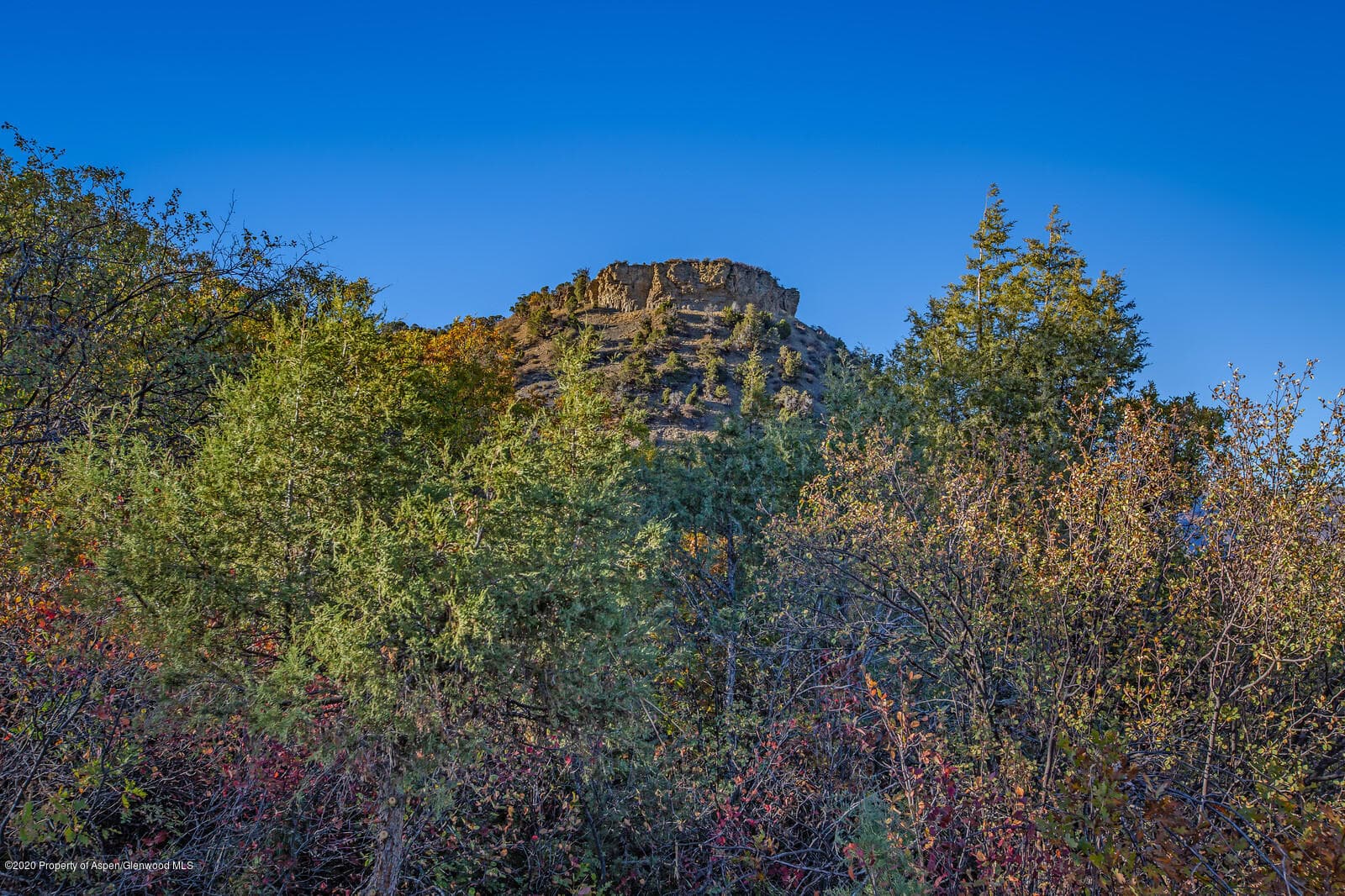 1383 Juniper Hill Drive, Aspen, CO 81611 - Photo 6