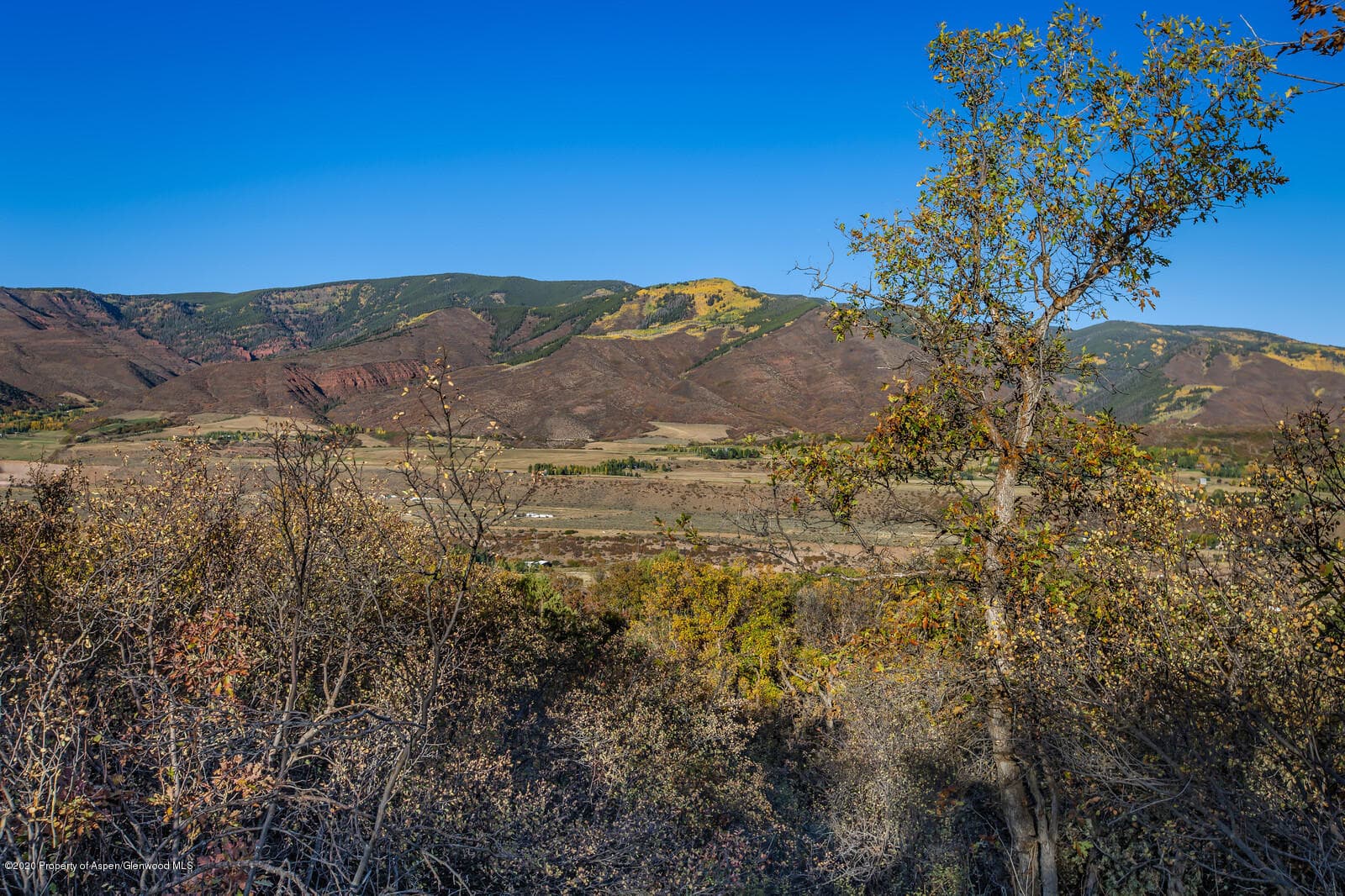 1383 Juniper Hill Drive, Aspen, CO 81611 - Photo 9
