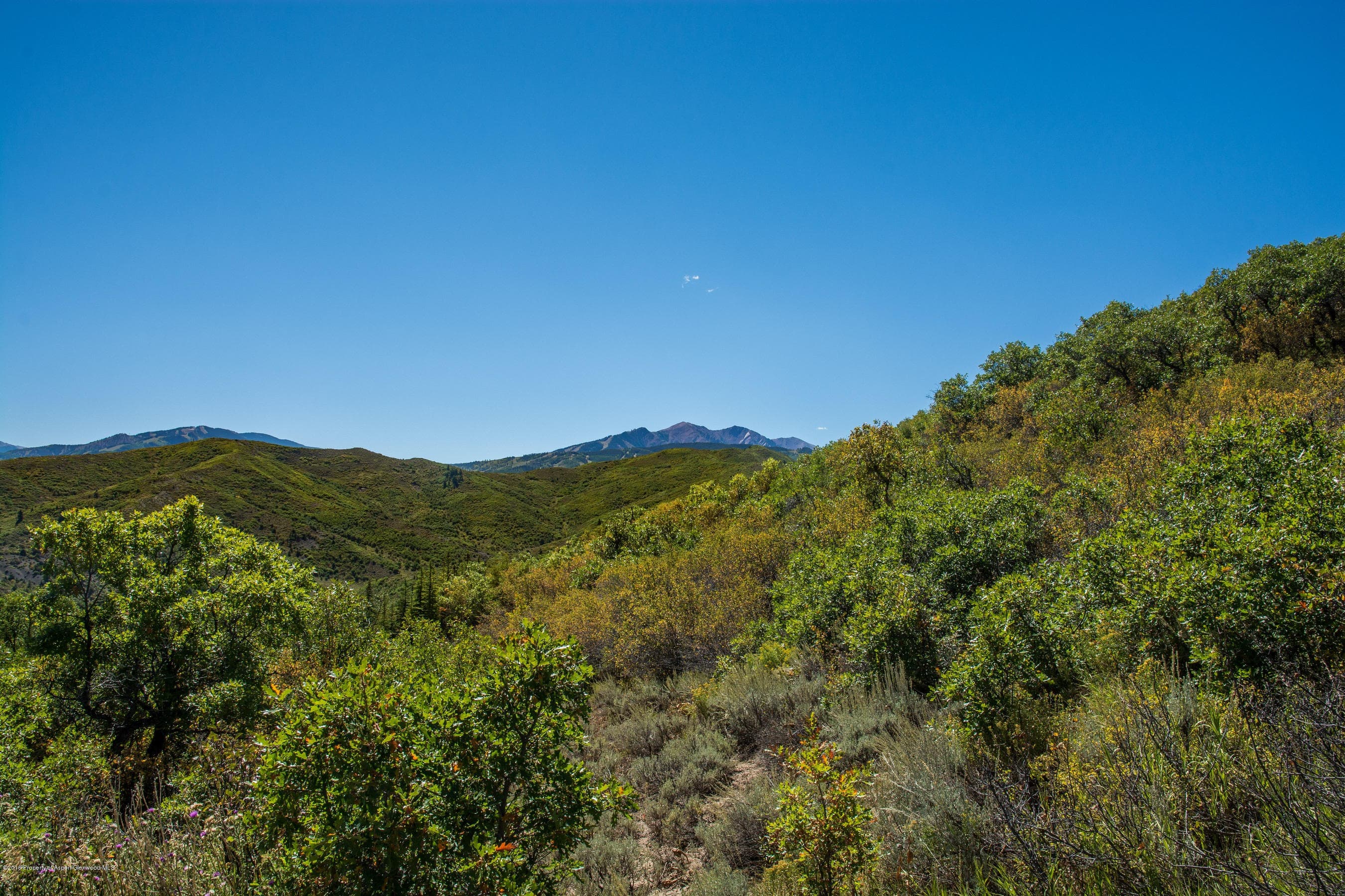 145 Tabula Rasa Lane, Aspen, CO 81611 - Photo 7