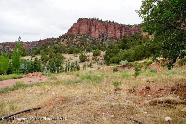 4959 Frying Pan Road, Basalt, CO 81621 - Photo 10