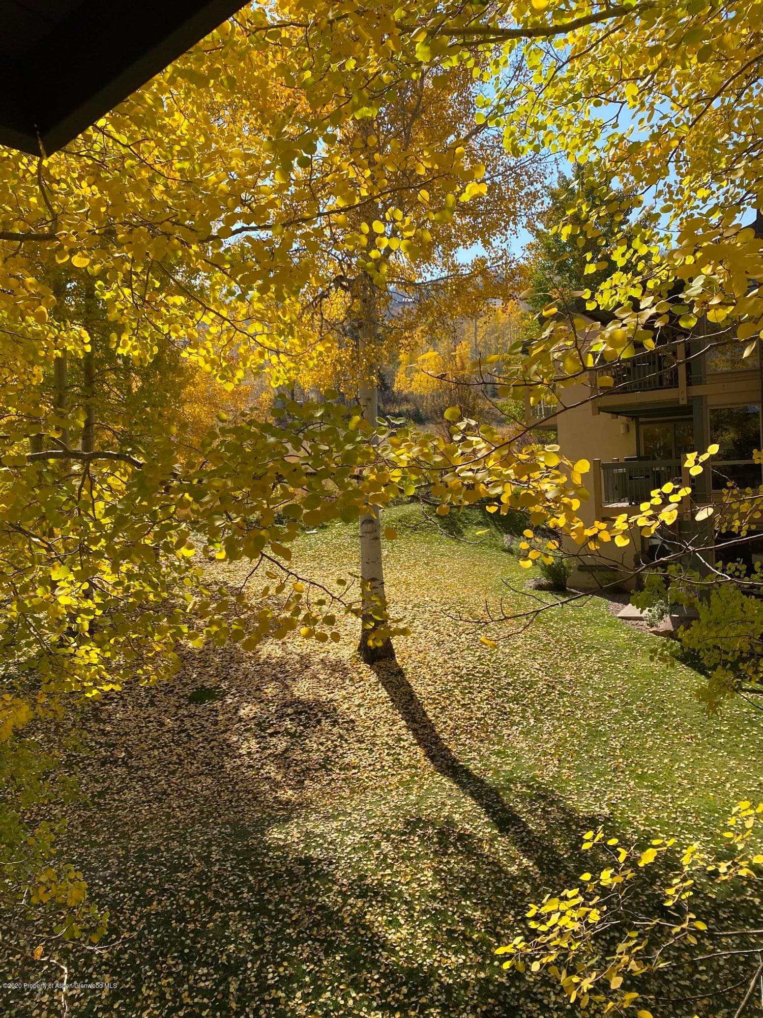 855 Carriage Way 409, Snowmass Village, CO 81615 - Photo 13