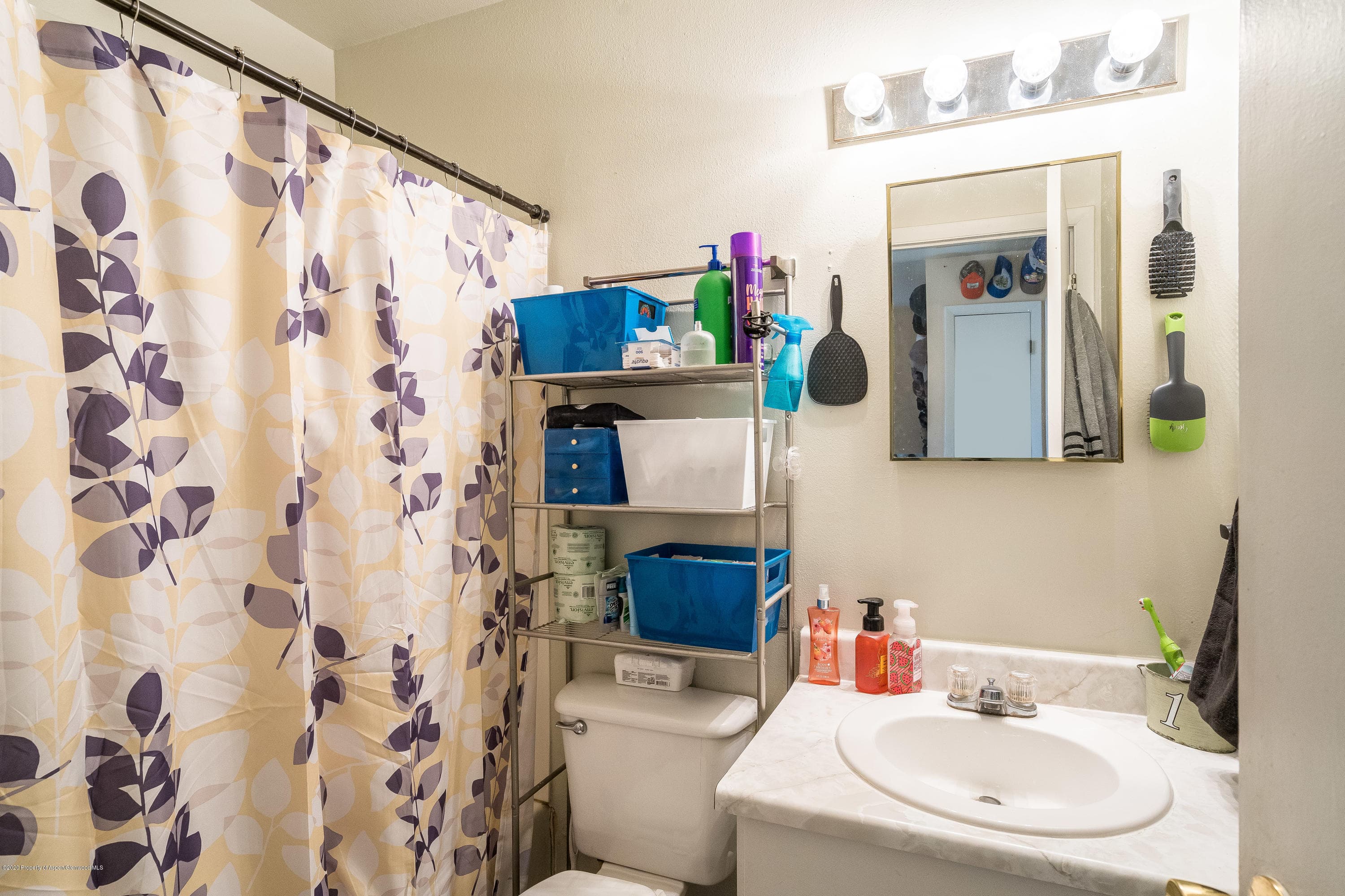 429 Clover Circle, Hayden, CO 81639 - Photo 12