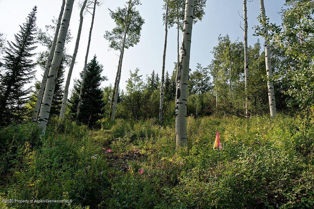 318 Ridge Road, Snowmass Village, CO 81615 - Photo 8