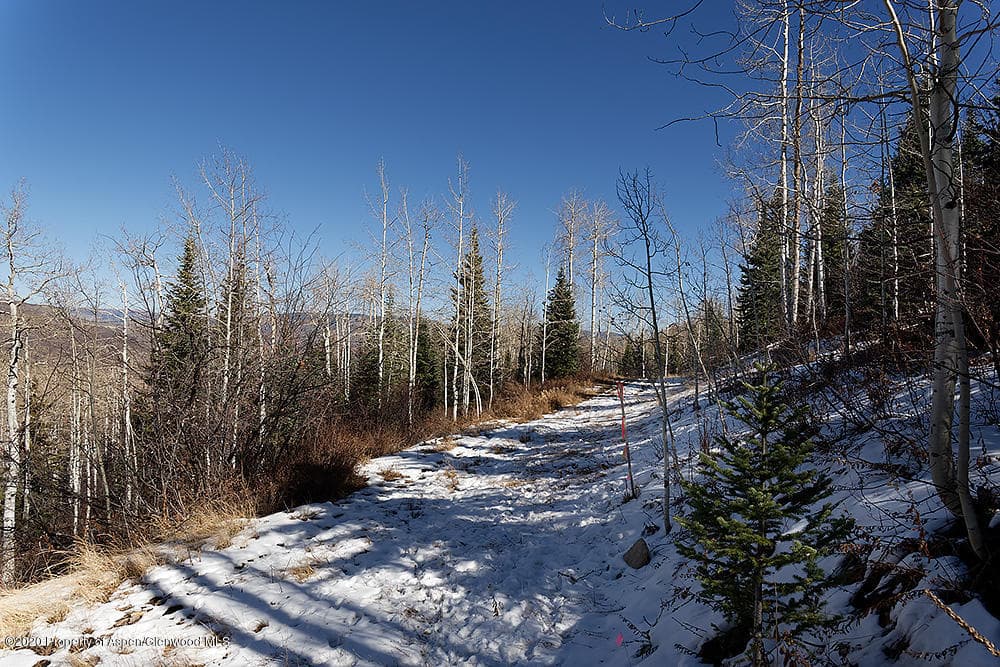 318 Ridge Road, Snowmass Village, CO 81615 - Photo 11