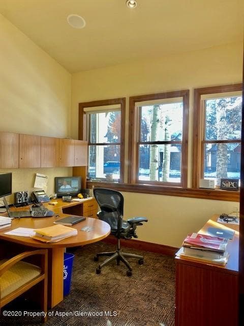132 W Main Street A, Aspen, CO 81611 - Photo 19