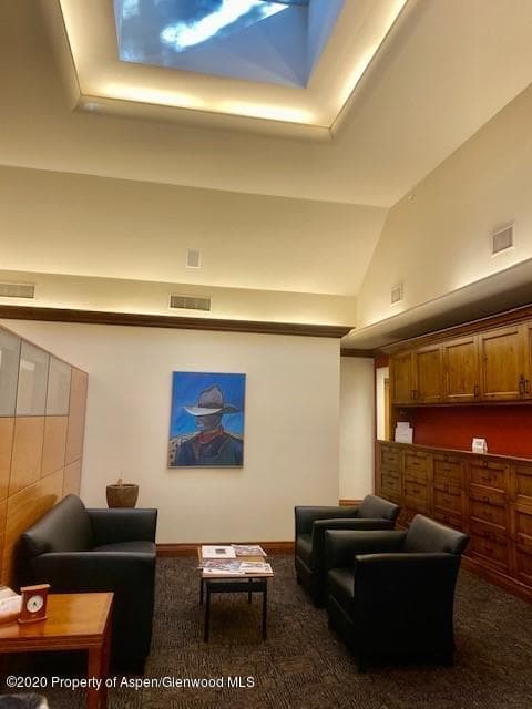 132 W Main Street A, Aspen, CO 81611 - Photo 25