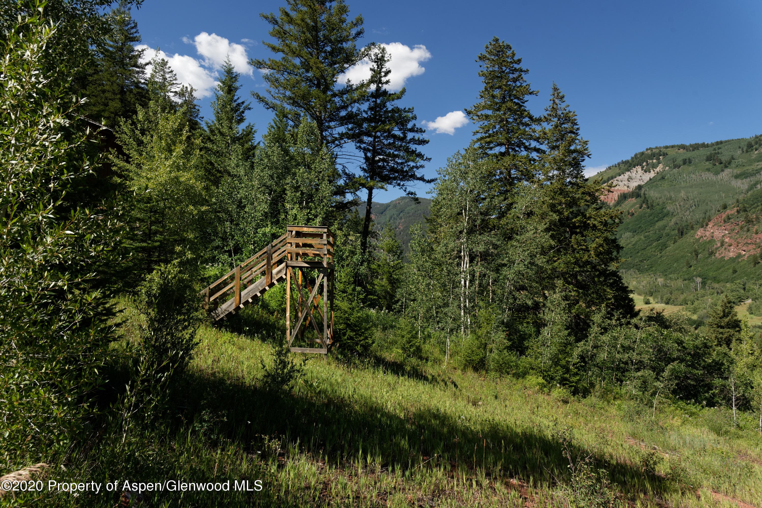 TBD Exhibition Lane, Lot 2, Aspen, CO 81611 - Photo 19