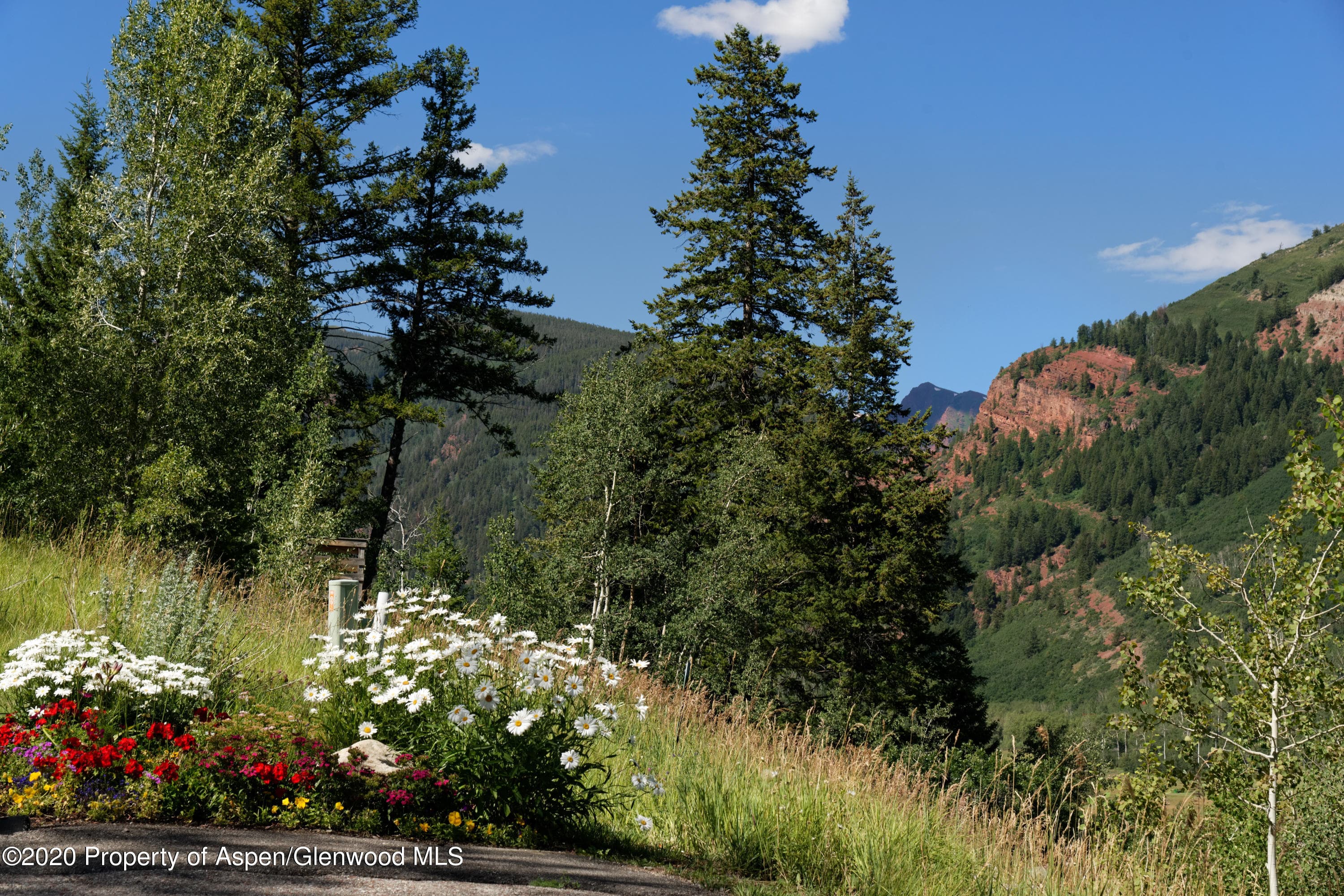 TBD Exhibition Lane, Lot 2, Aspen, CO 81611 - Photo 22