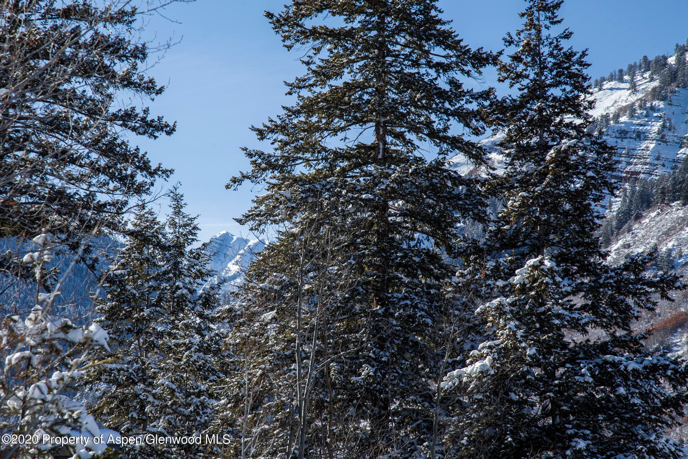 TBD Exhibition Lane, Lot 2, Aspen, CO 81611 - Photo 31