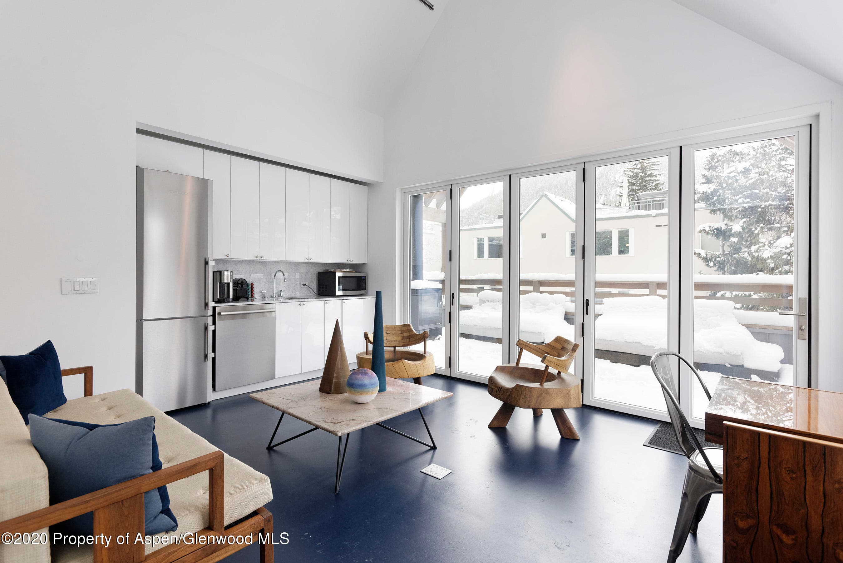 100 S Spring Street, Aspen, CO 81611 - Photo 16